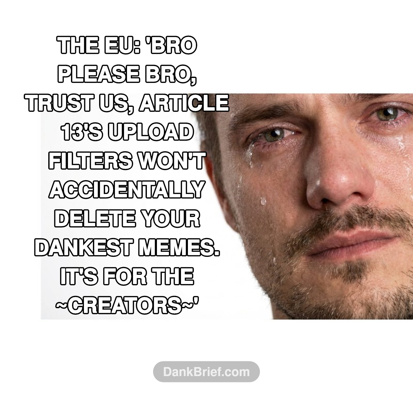POV: The EU drops another 'totally not gonna ruin the internet' policy