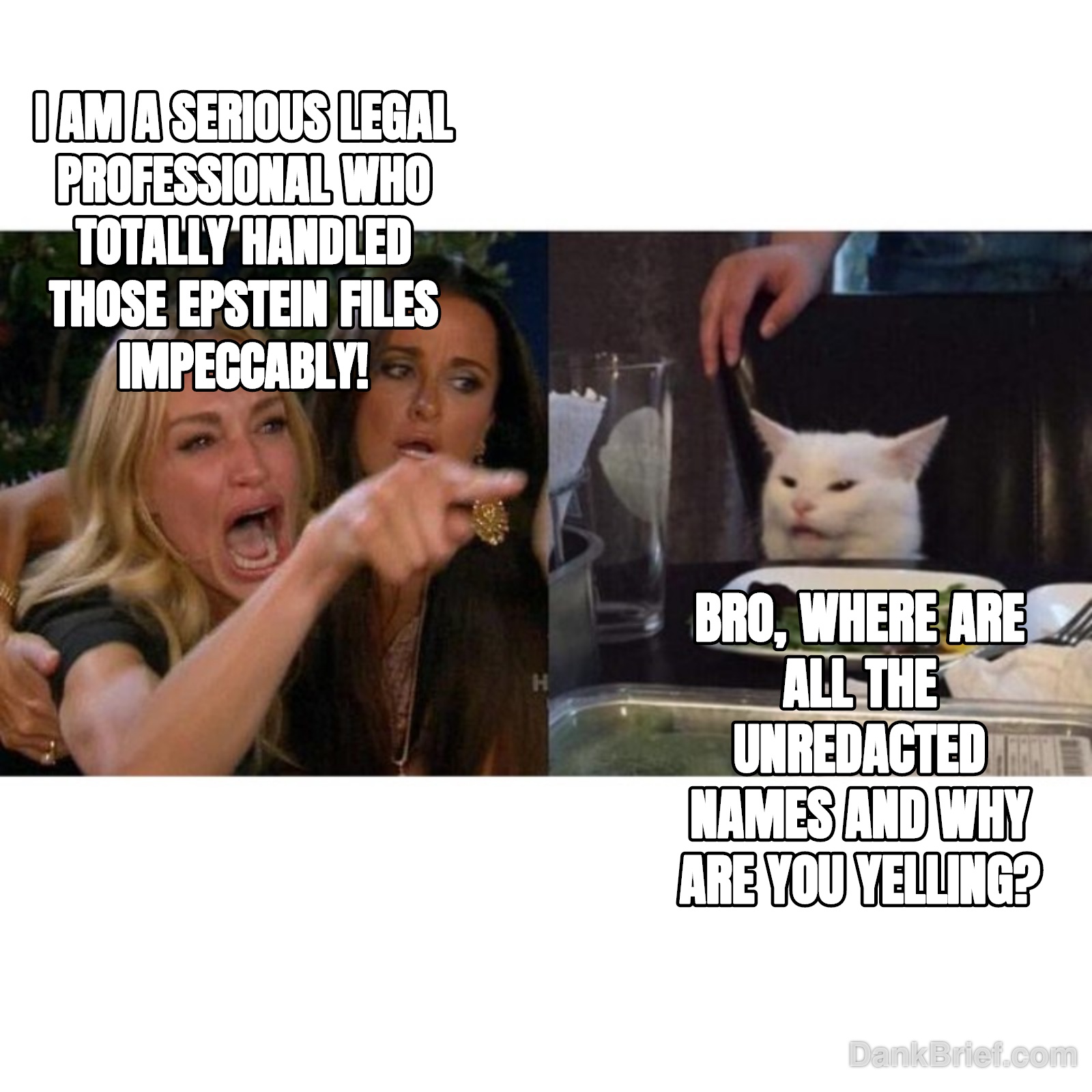 Me trying to justify my life choices vs. my therapist.