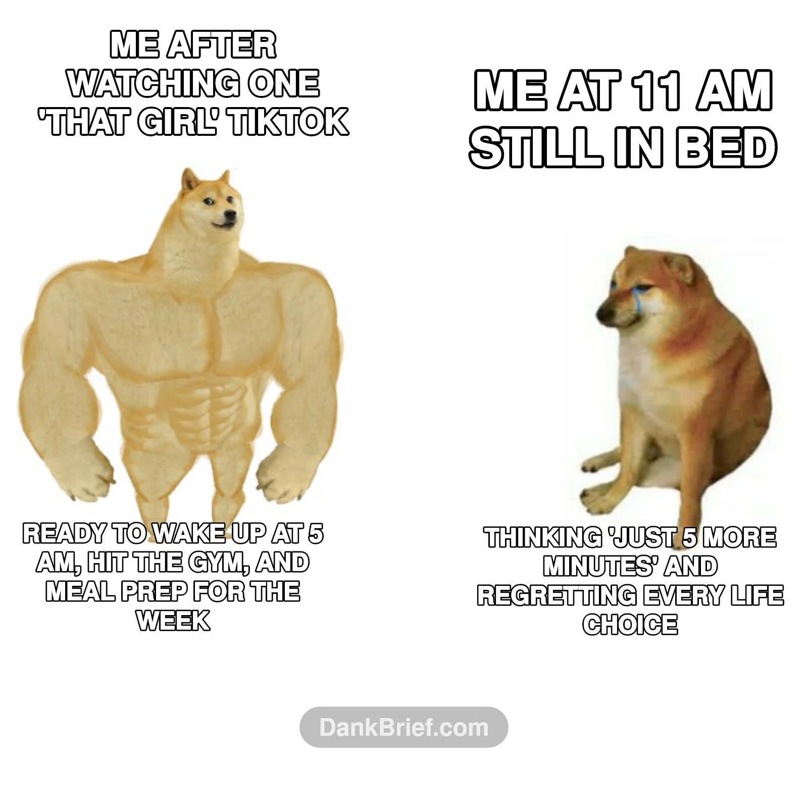 My Brain, a Master of Deception