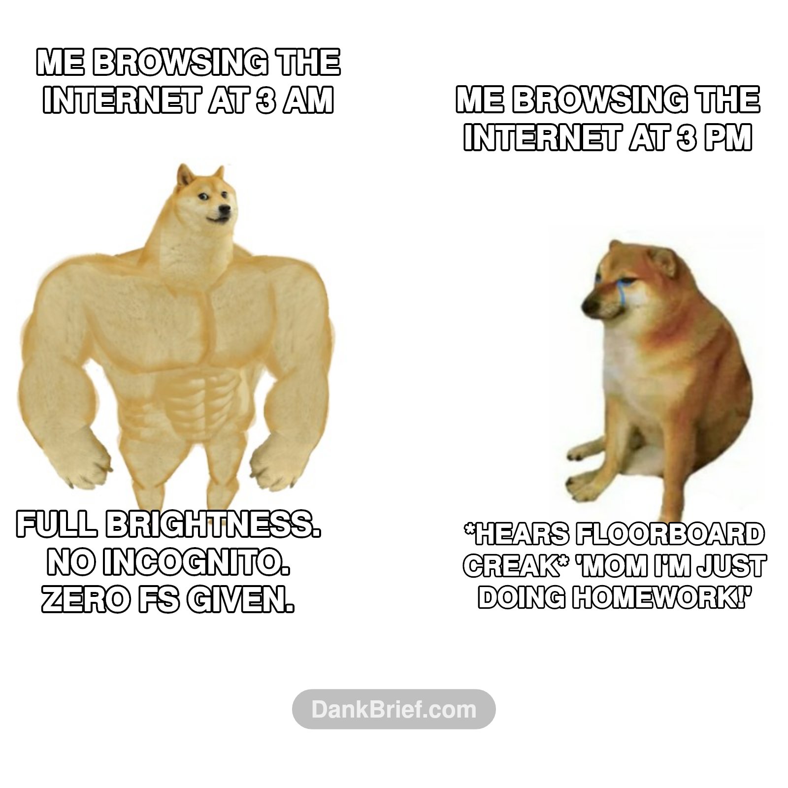 My internet habits are a spectrum