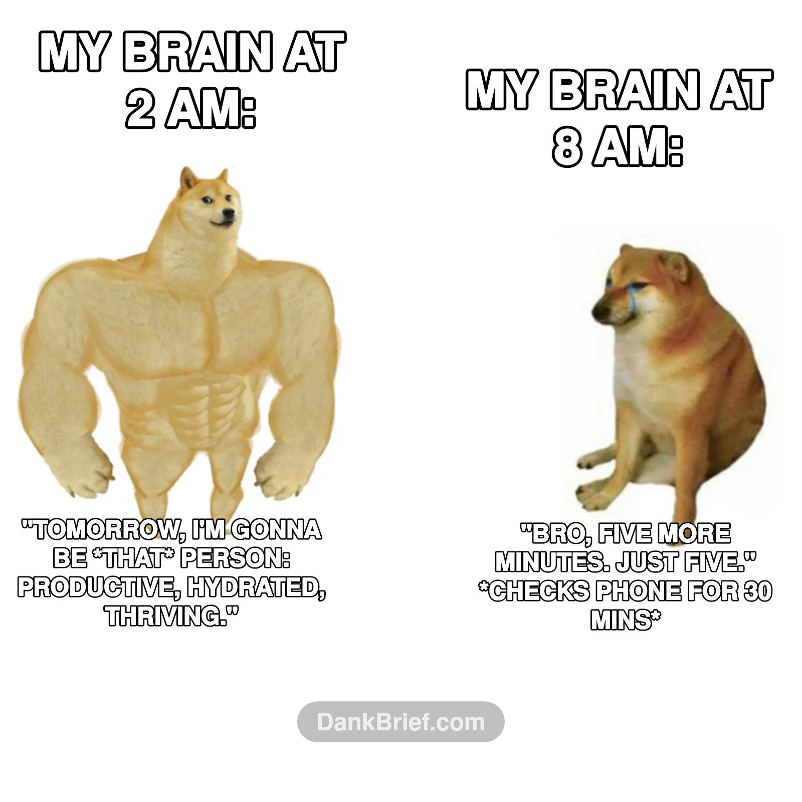 My brain at 2 AM vs. My body at 8 AM, every single day.