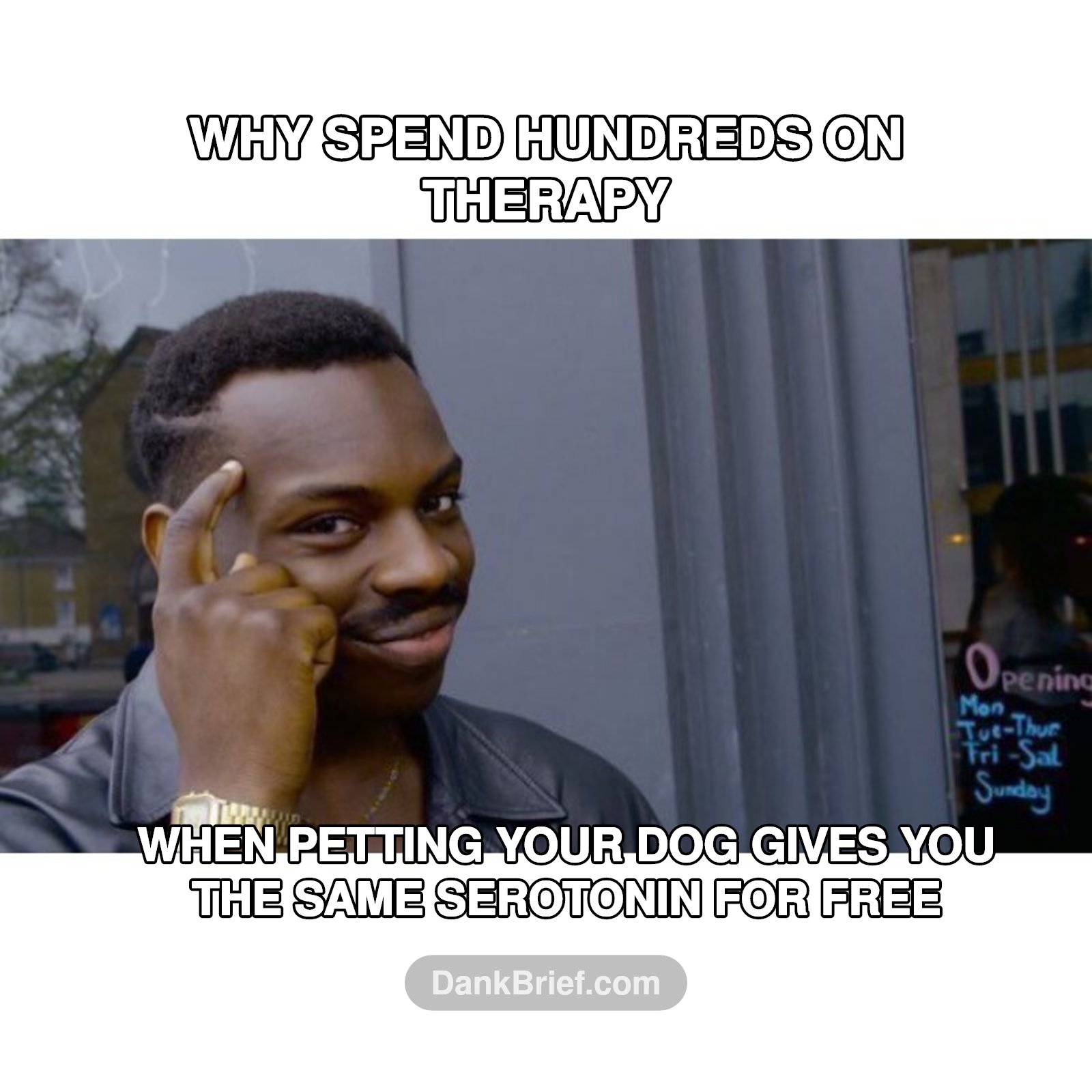 My therapist is a golden retriever bro