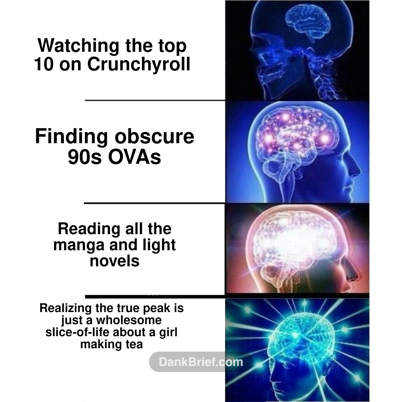 My brain expanding with every anime era I discover, no cap