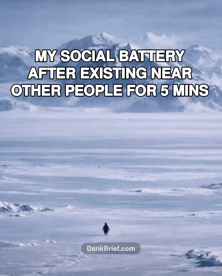 Me after any human interaction tbh