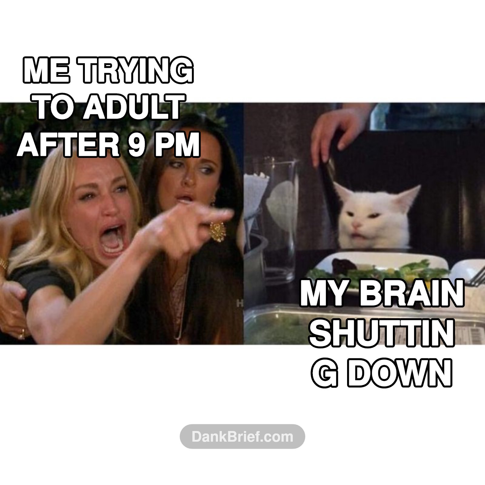 Adulting is a scam, bro
