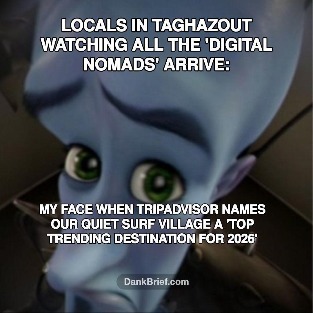 POV: Your chill spot just got Tripadvisor'd ✈️