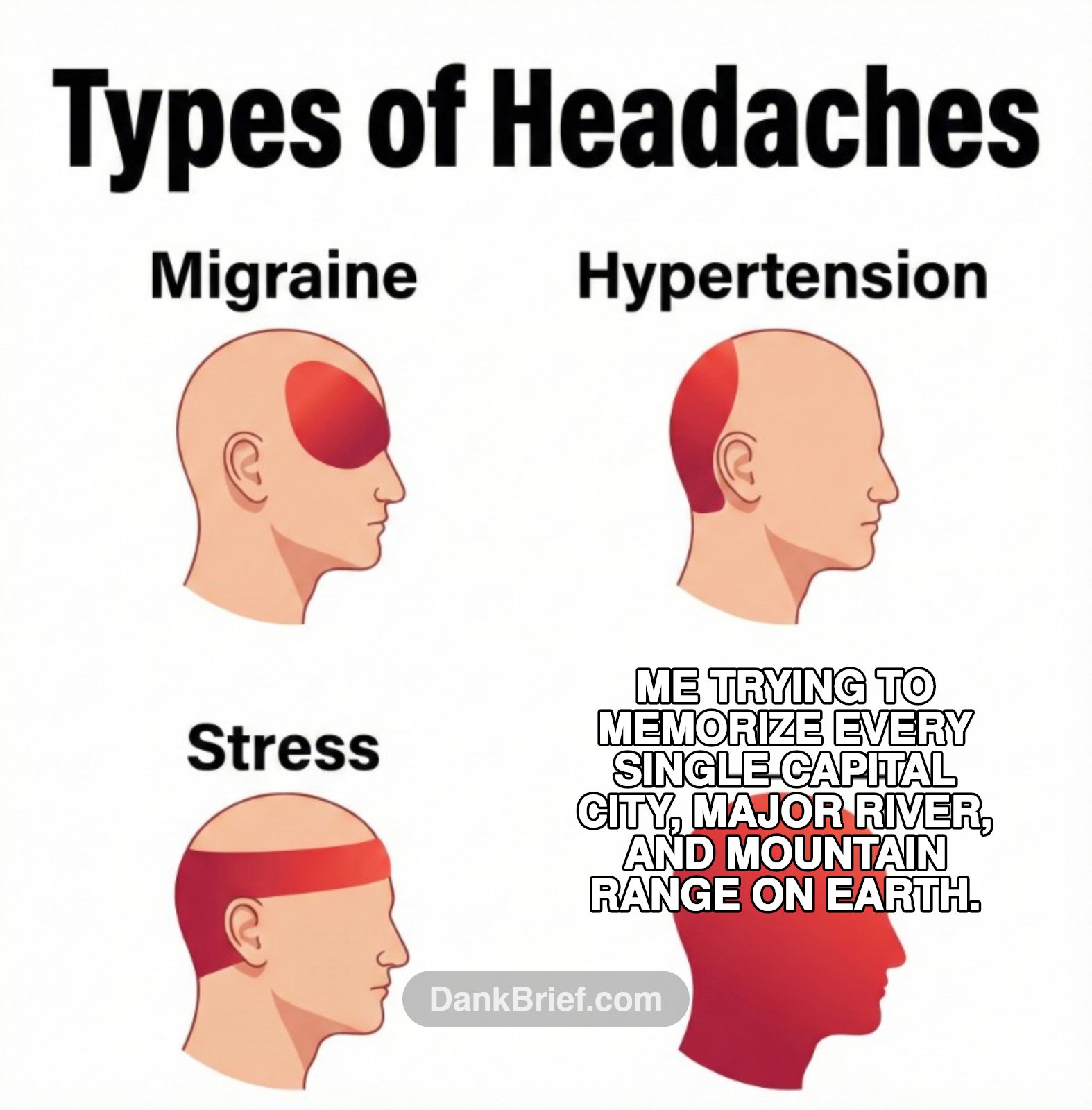 My brain needs a map and a compass to navigate all this info, ngl