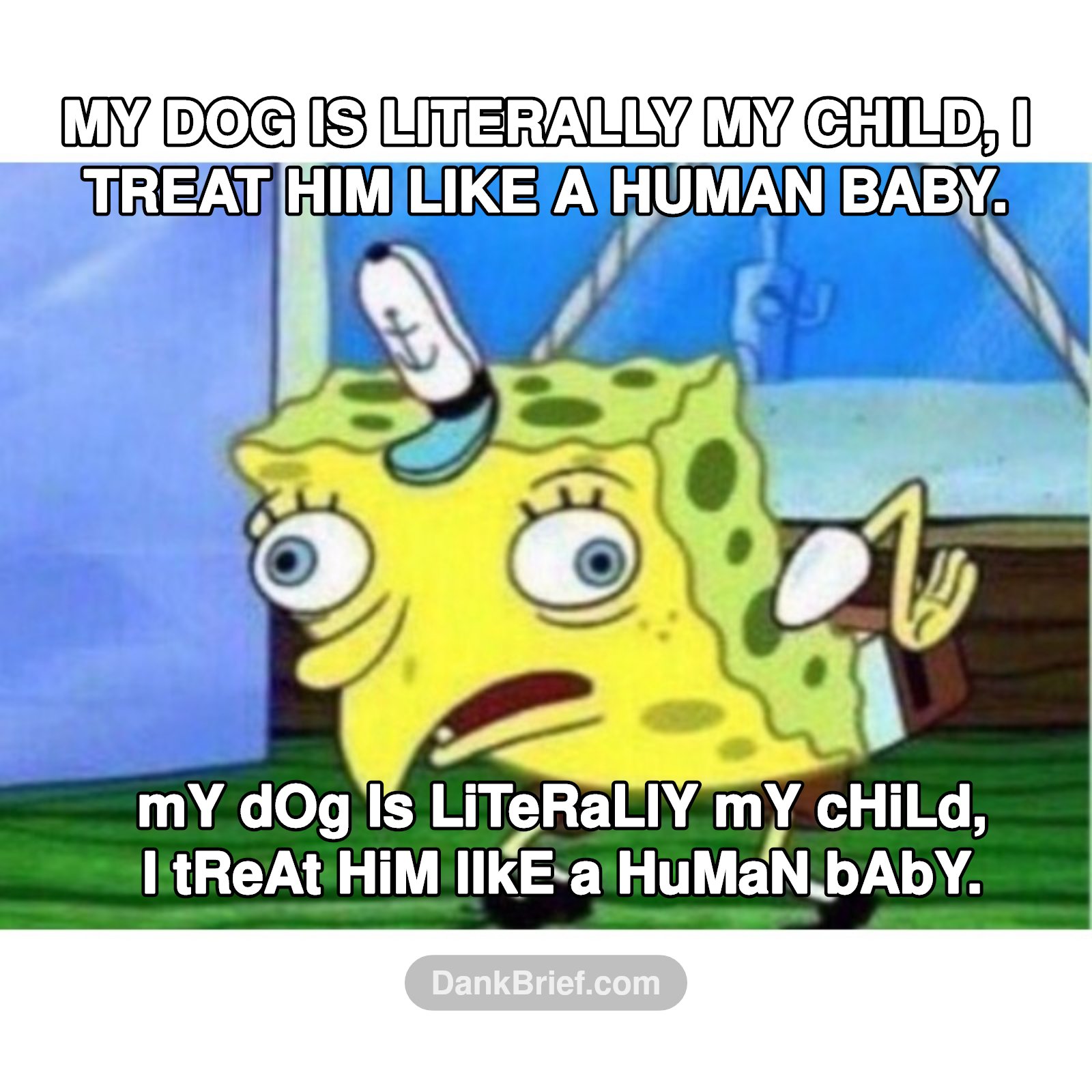 Me when someone says their dog is their 'fUr BaBy'