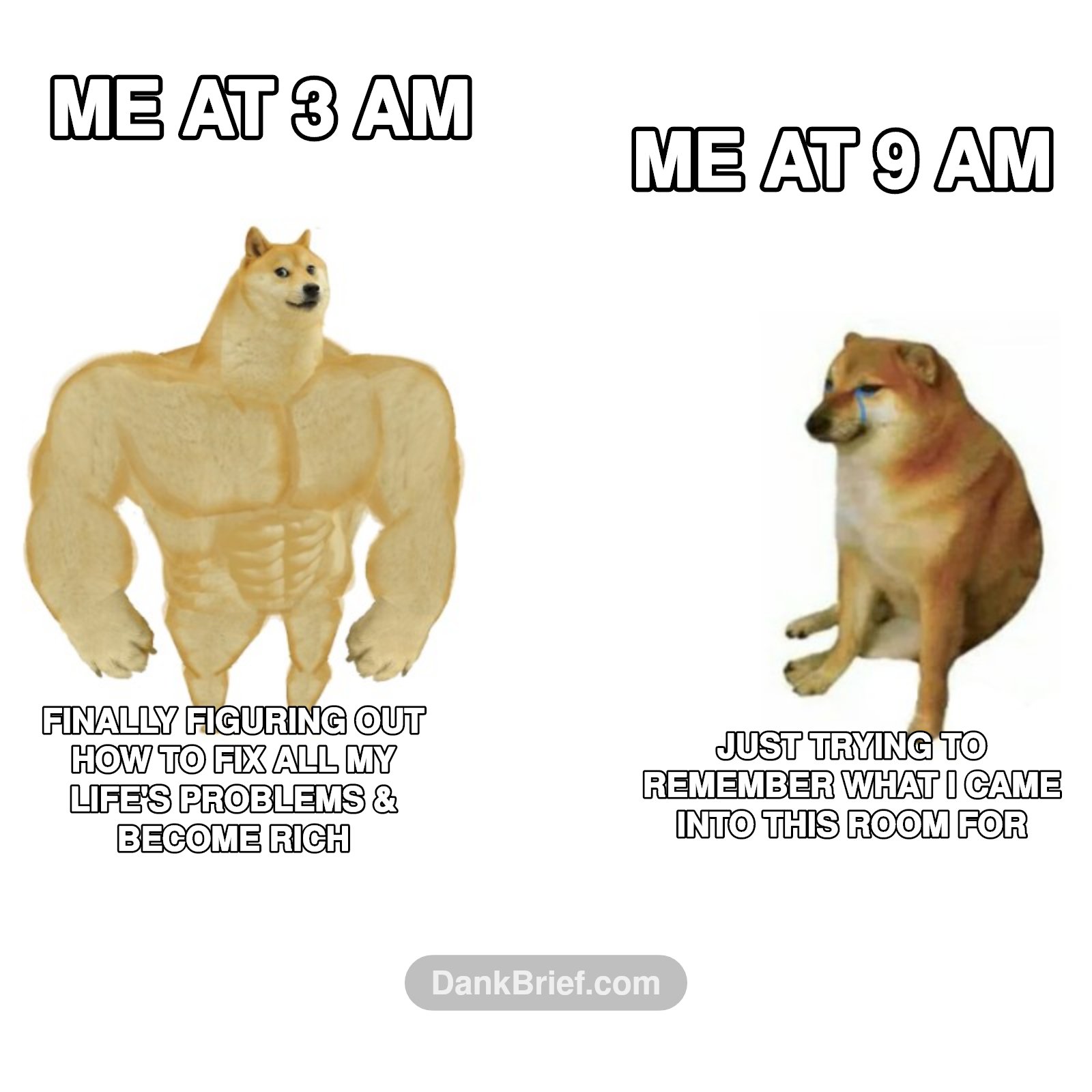 POV: My brain trying to be productive vs reality