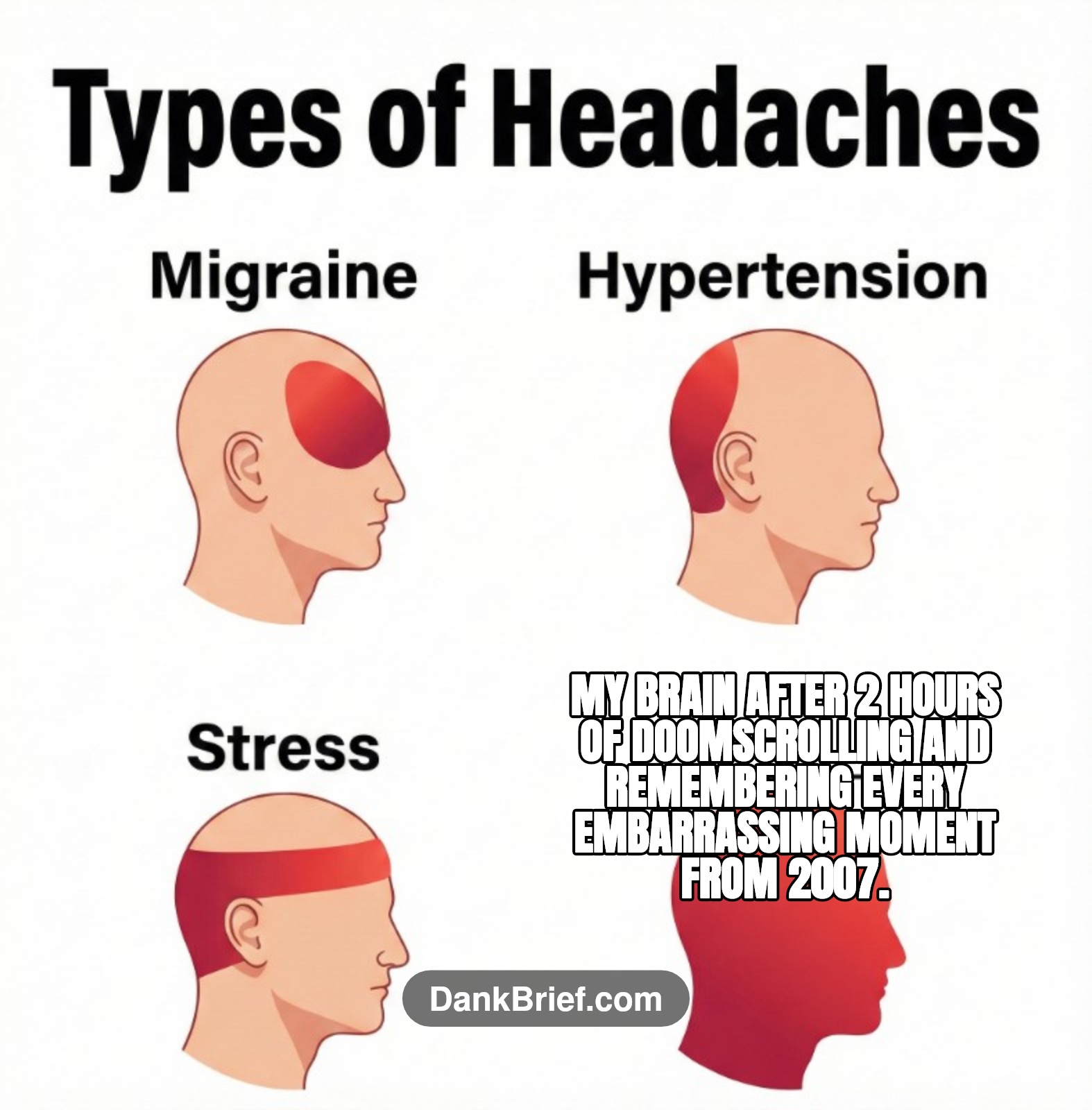 The Brain.exe experience