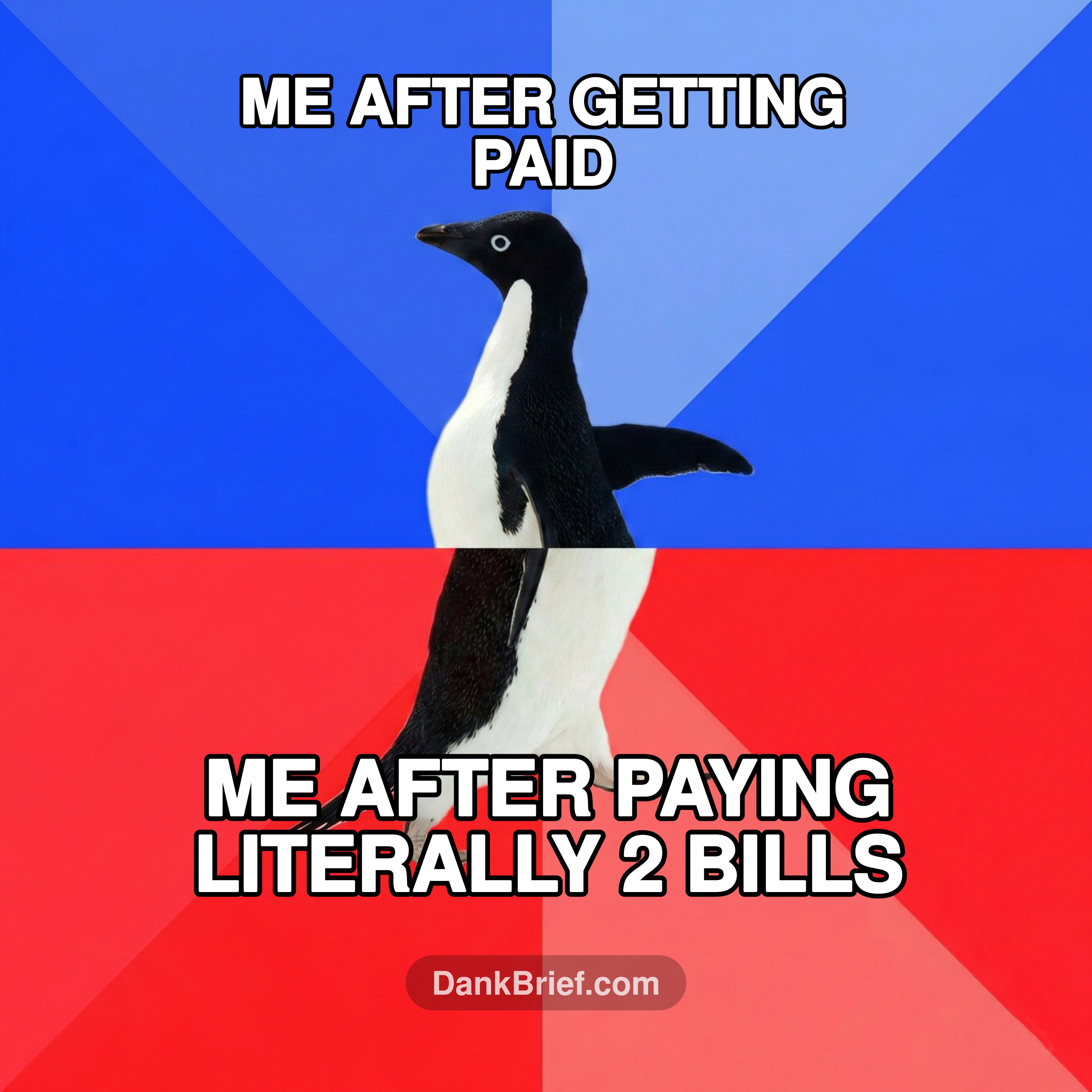 Adulting is a scam, bro