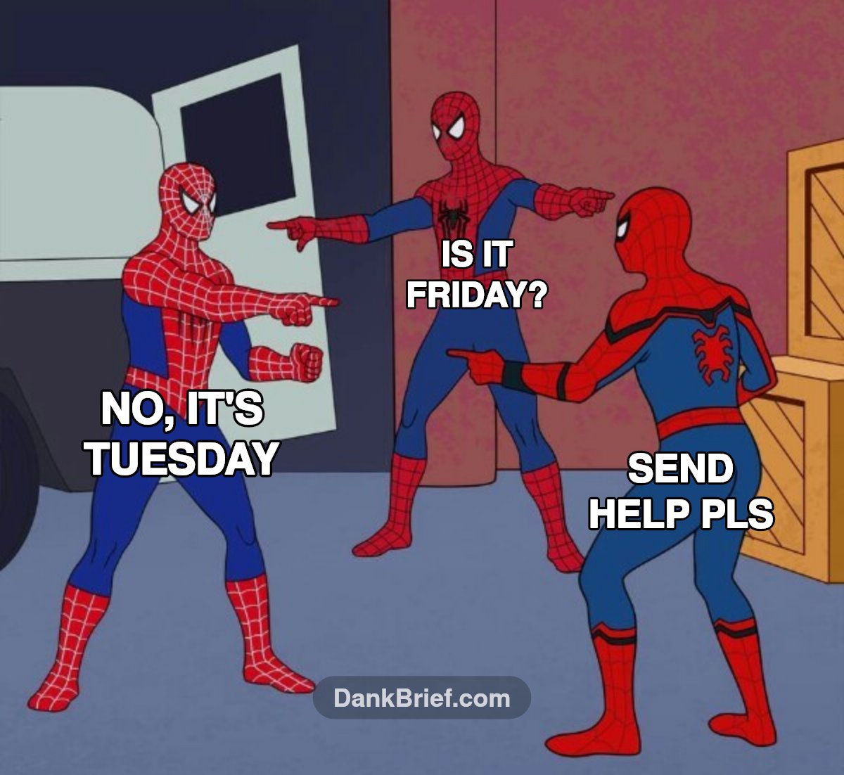 POV: My entire work week
