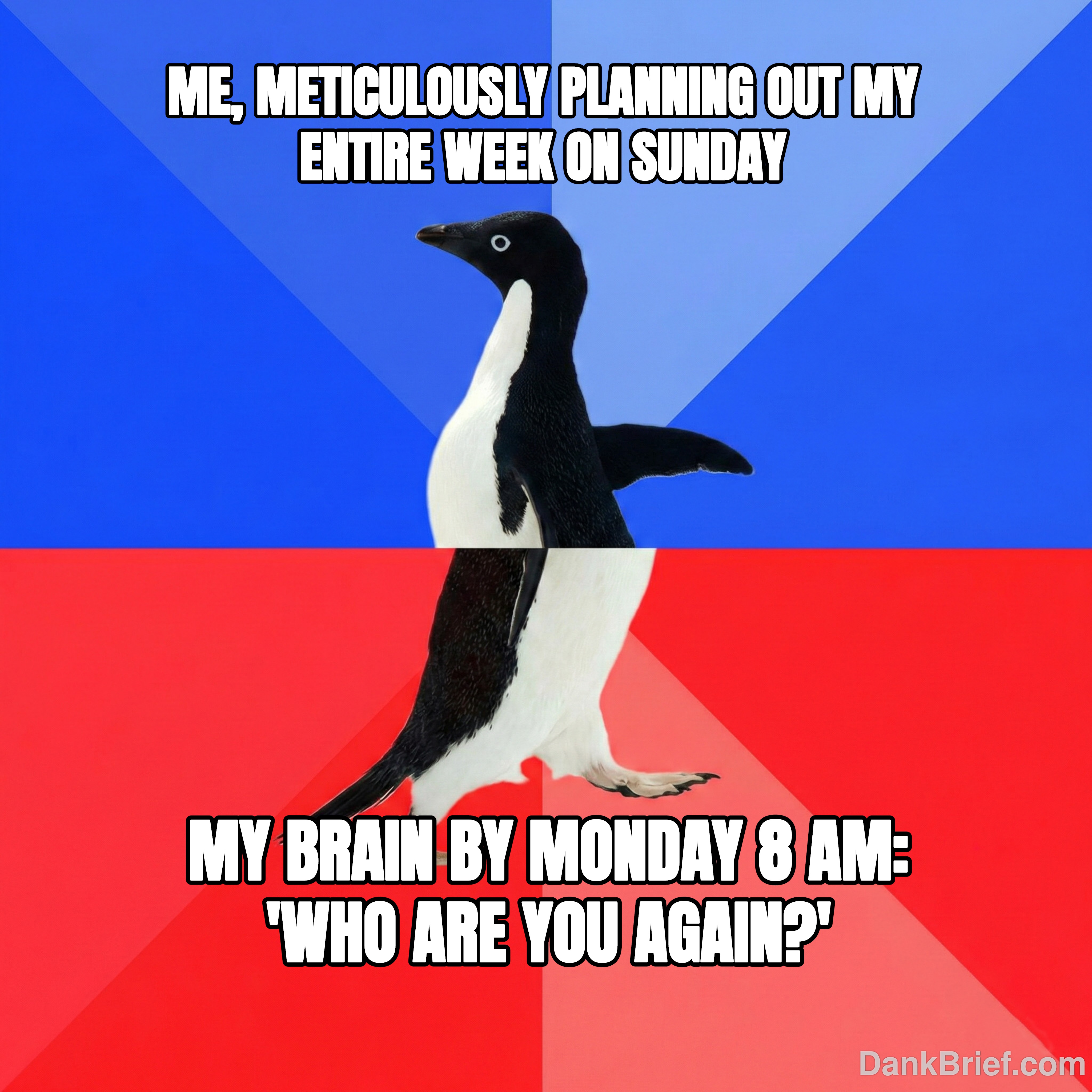 My brain said 'not today, Satan'