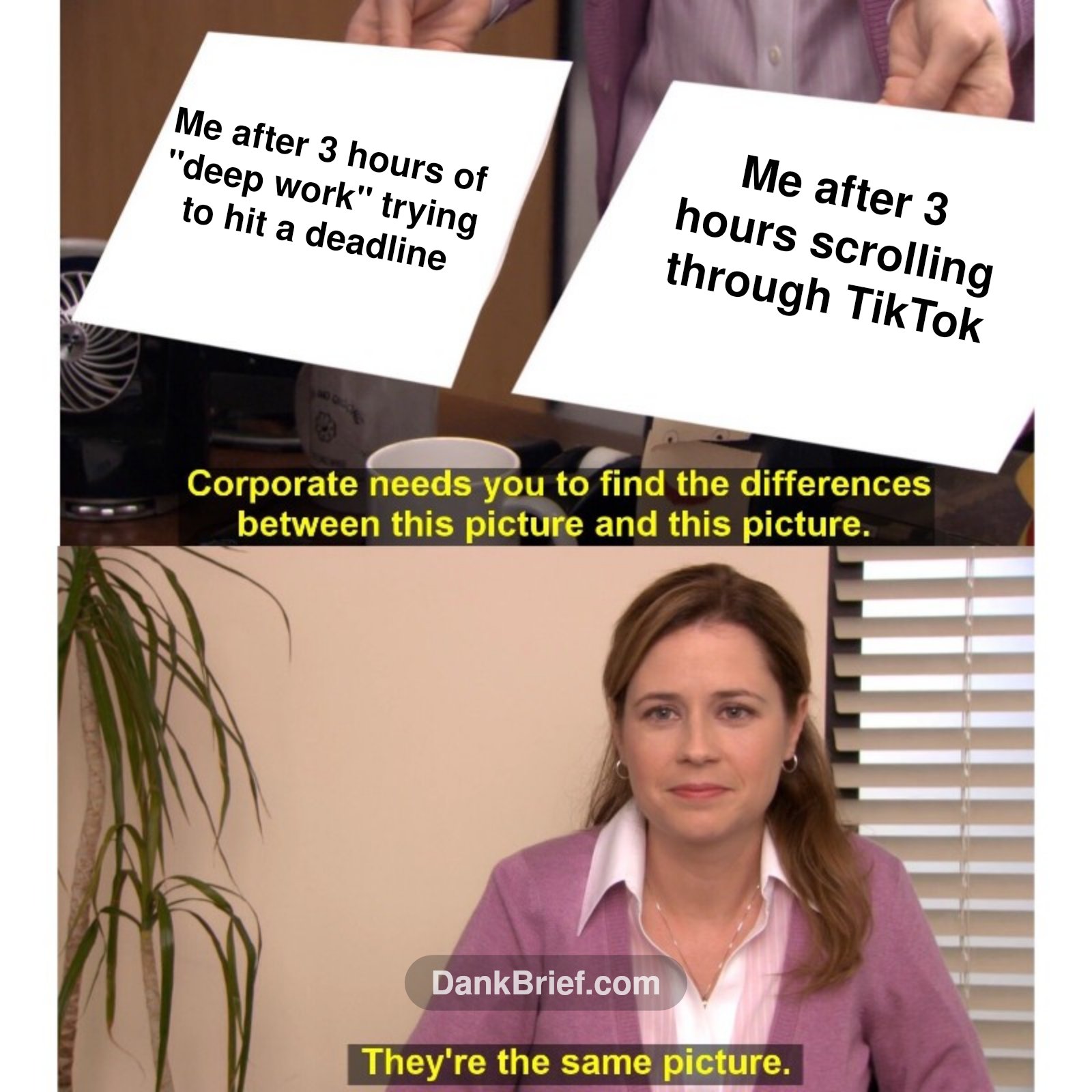 My brain cells have officially left the chat