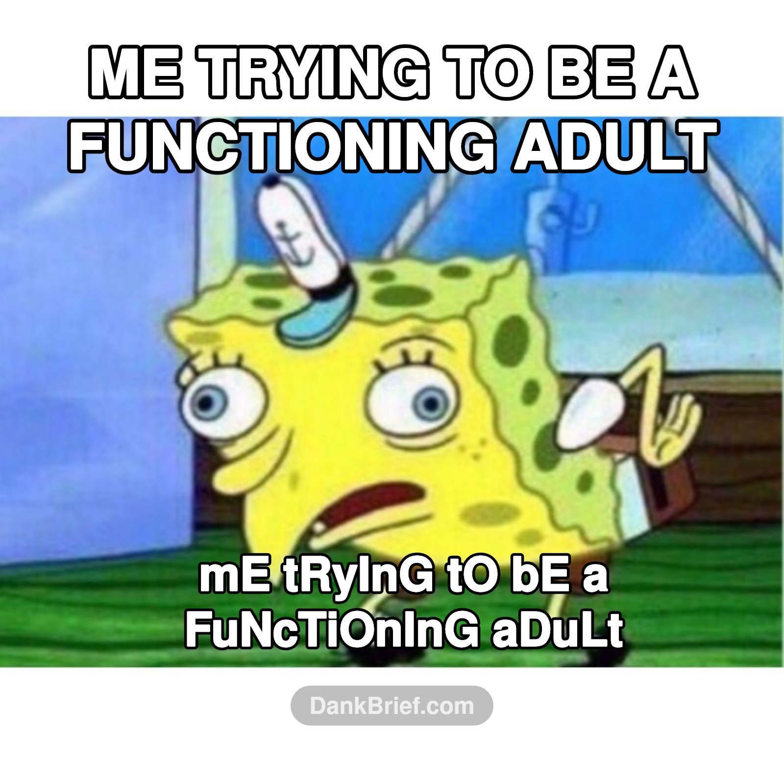 My plans vs. reality, every single time