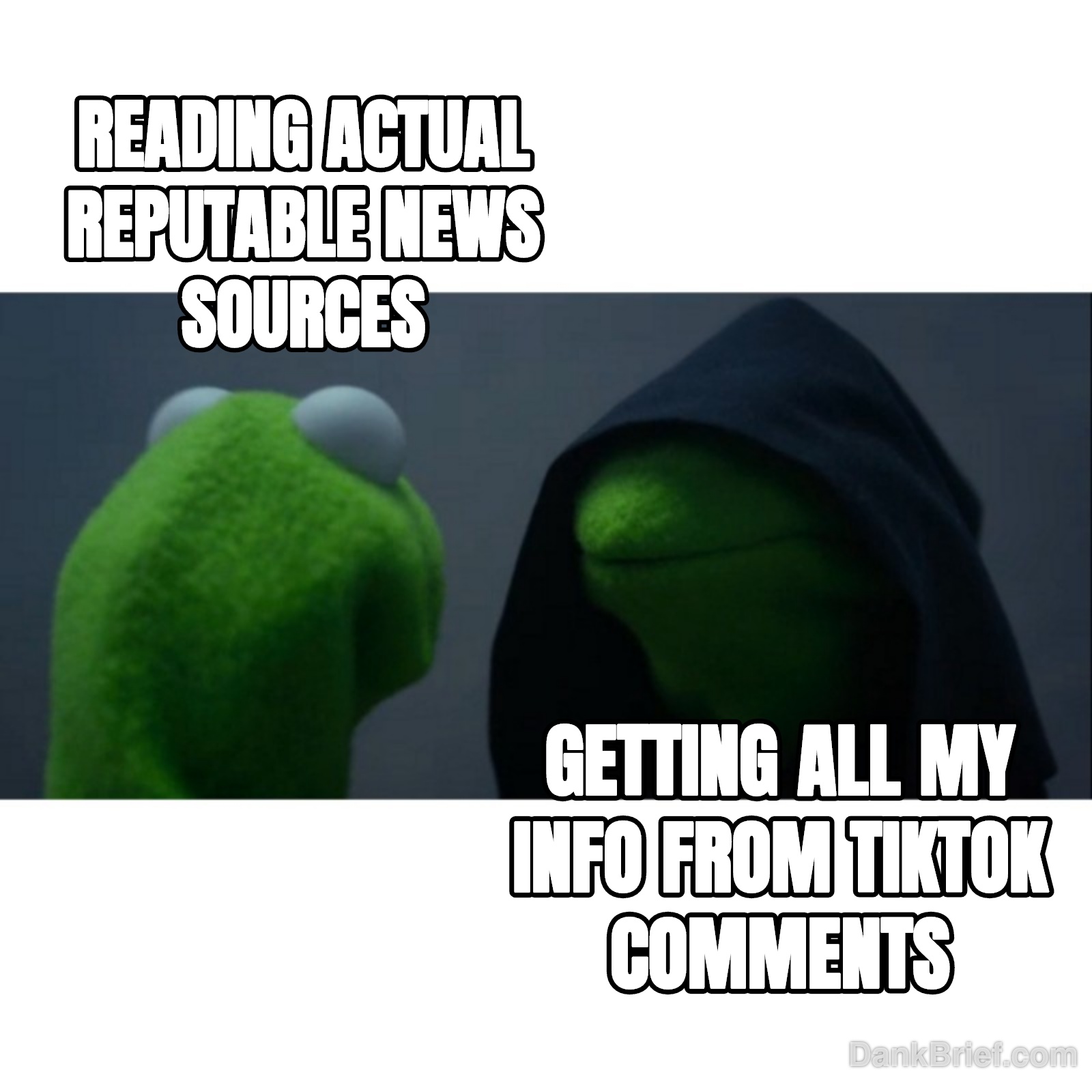 My daily news cycle, bro