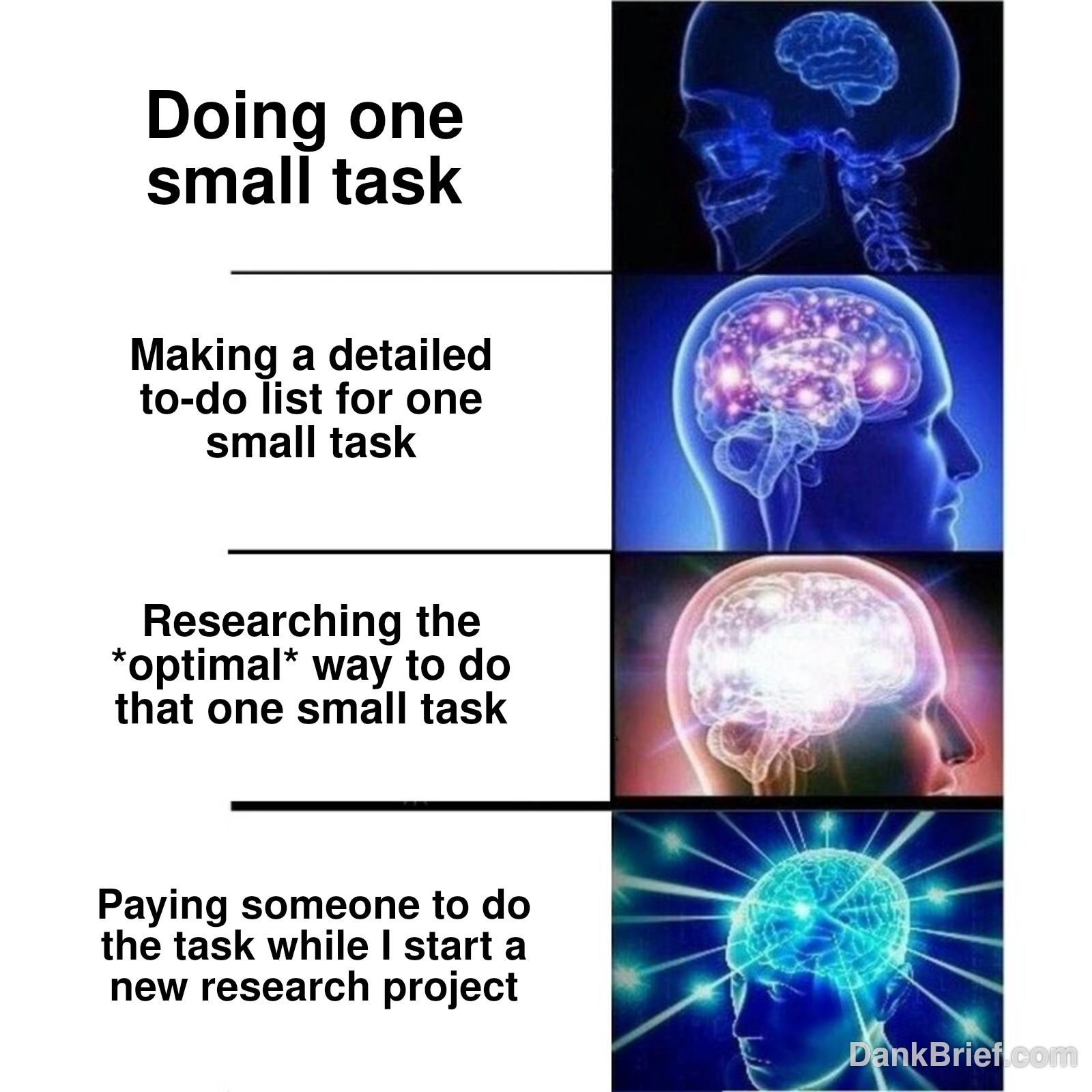 My brain working overtime to avoid actual work