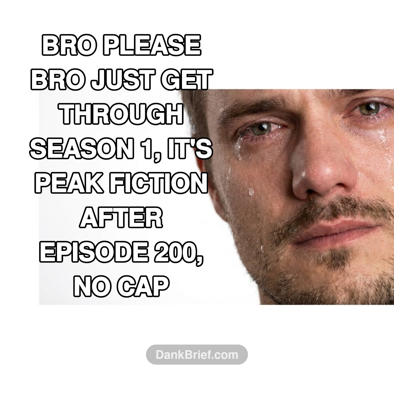 Me trying to get my friends into literally any anime longer than 12 episodes