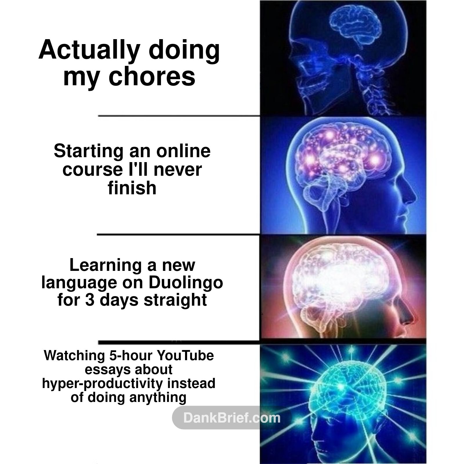 My brain trying to be productive lol
