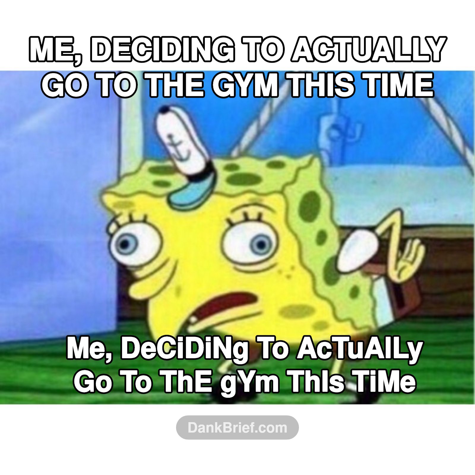 My annual gym membership decision