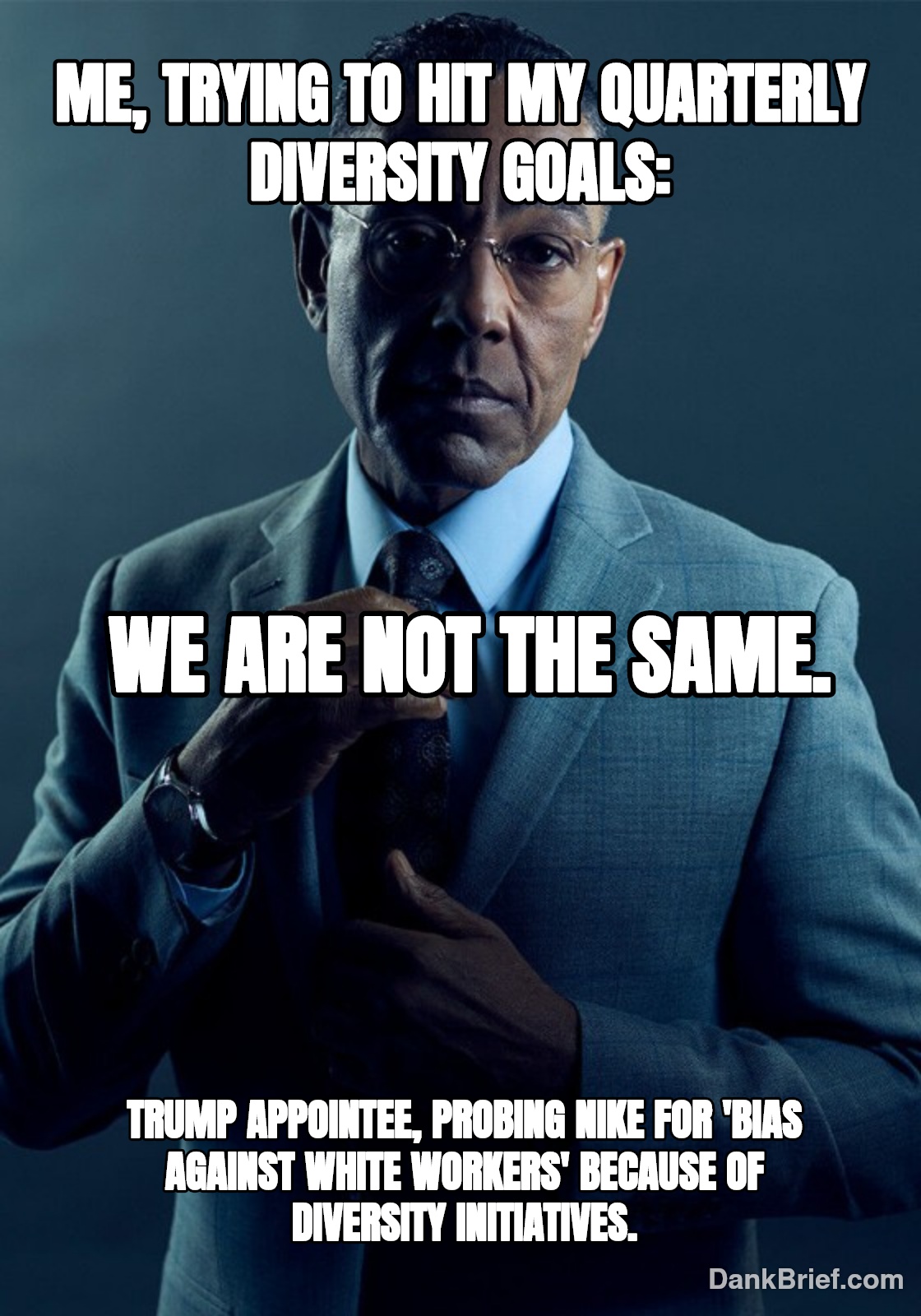 Diversity Goals vs. Reality Check