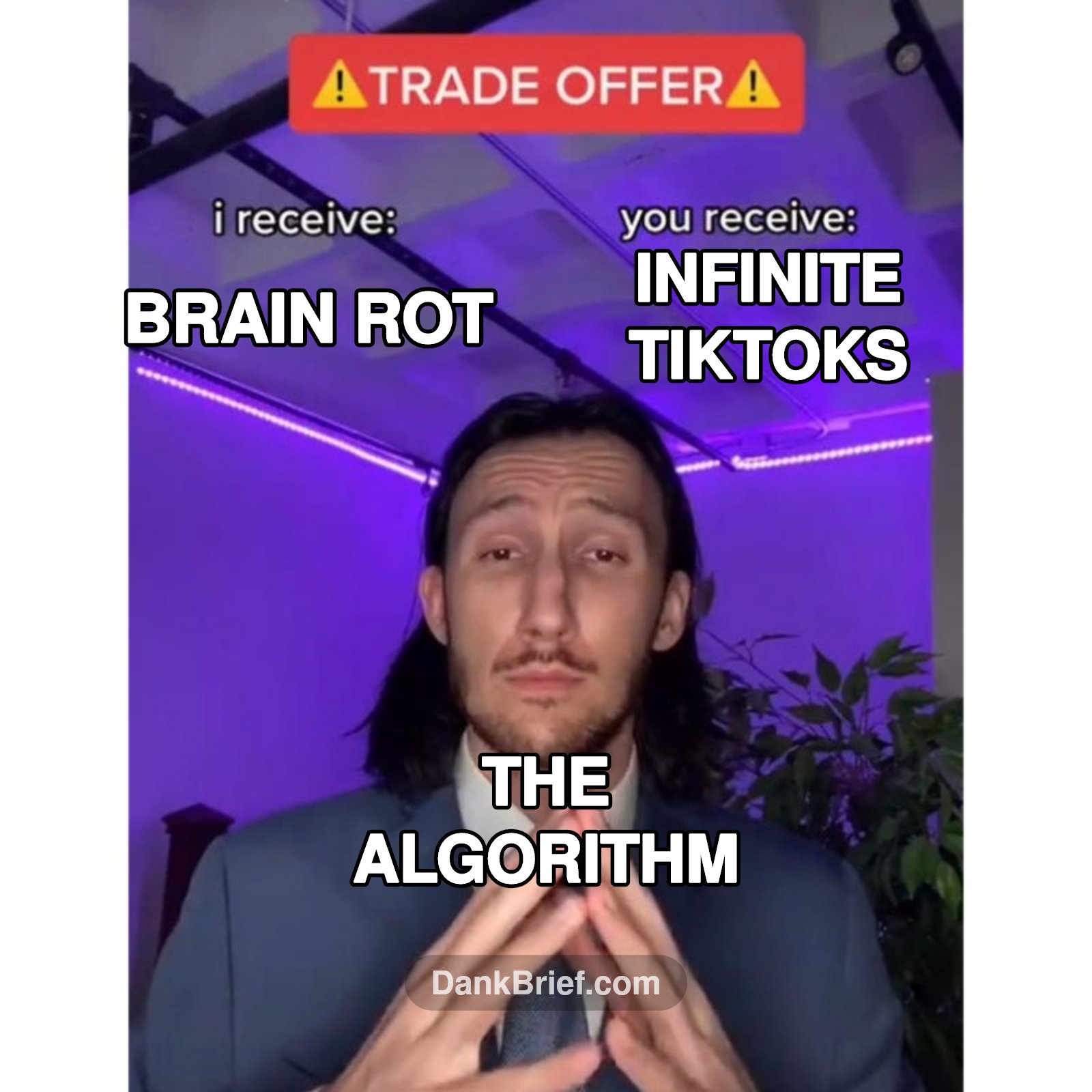 POV: The algorithm knows me too well