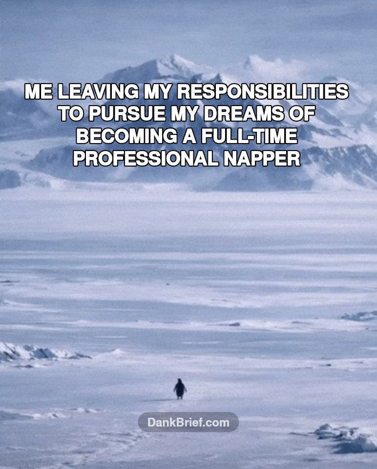 Adulting is a scam, bro