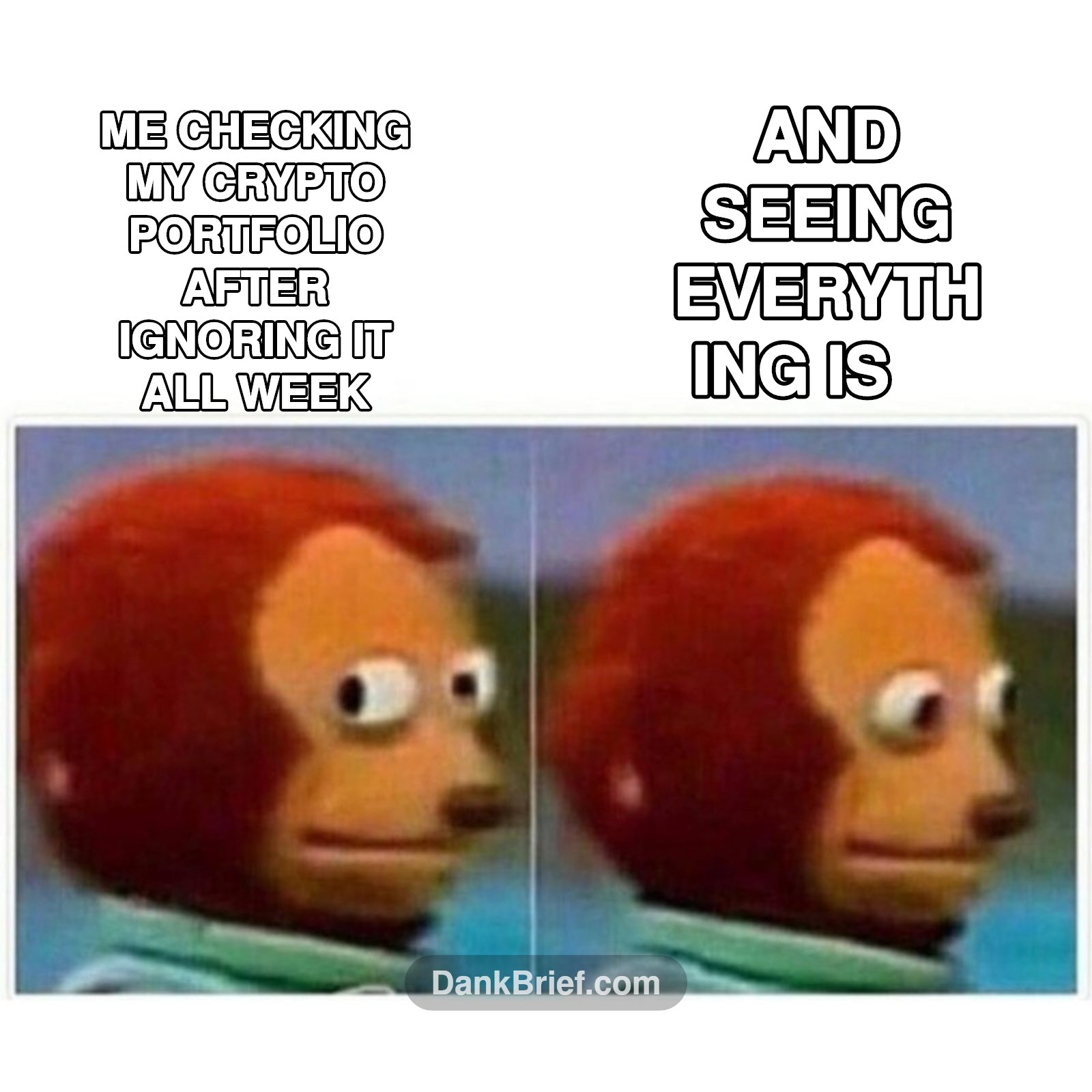 My portfolio's just having a 'minor correction', bro, it's fine.
