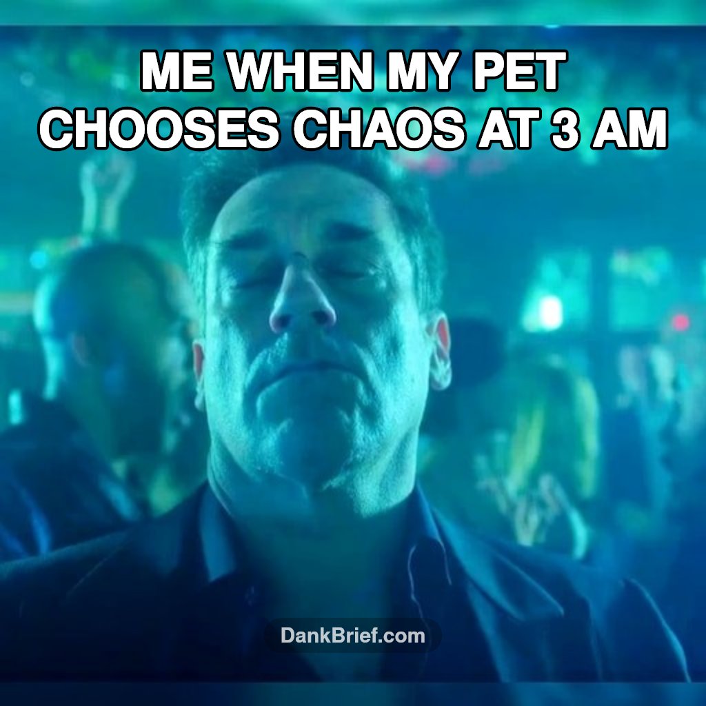 Pet Parent Life, bro