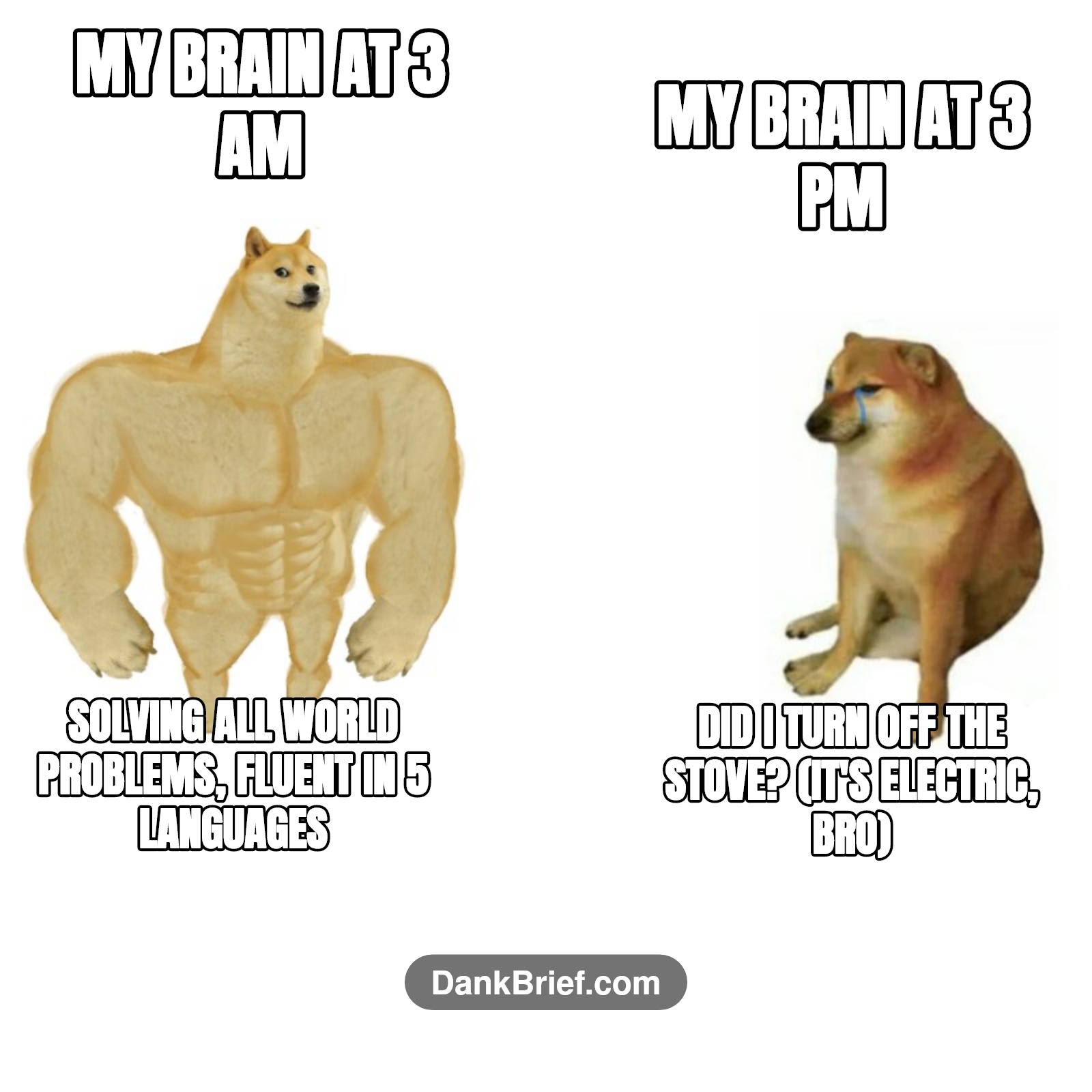 My brain's daily glow up and down