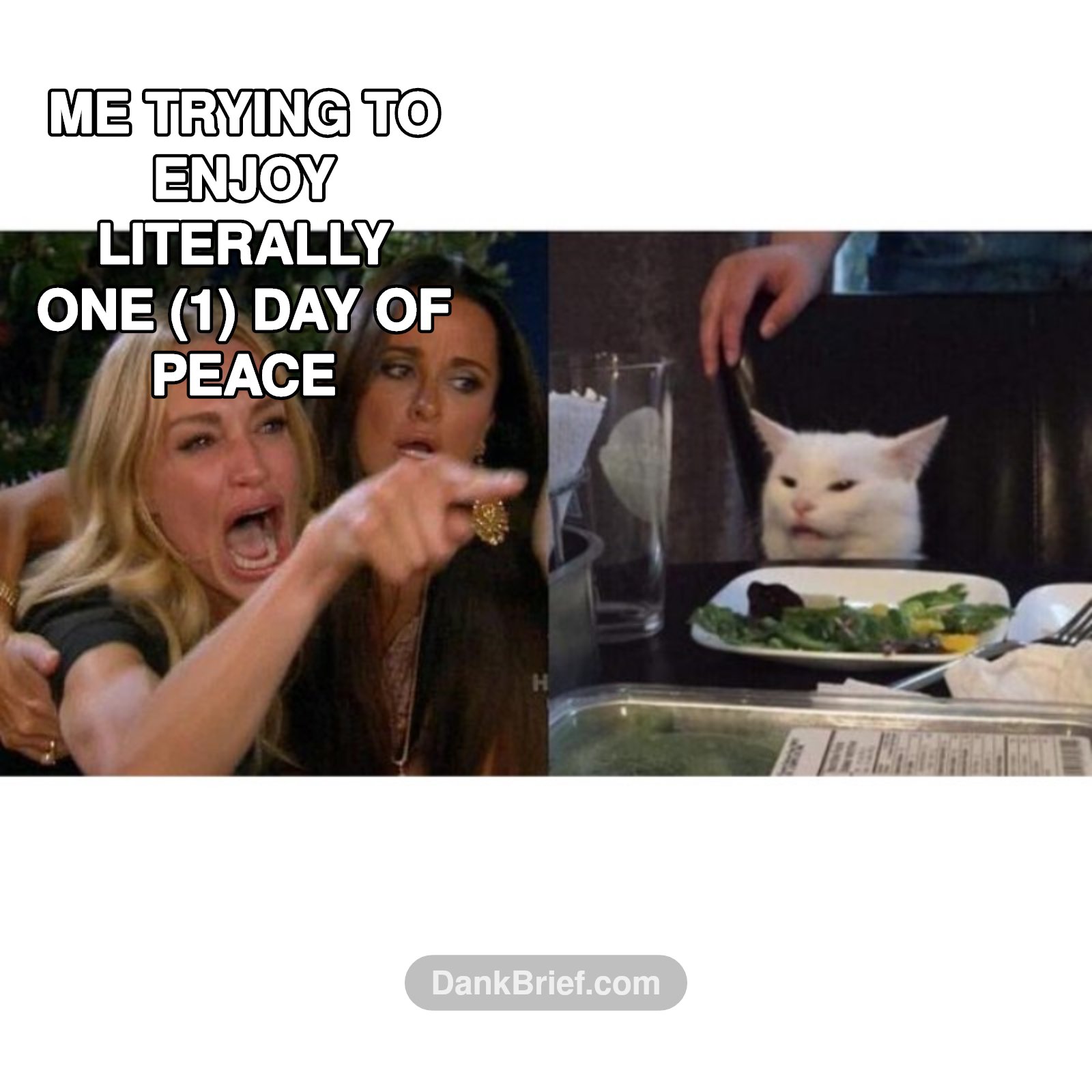 Me trying to enjoy a chill day vs. the daily news cycle