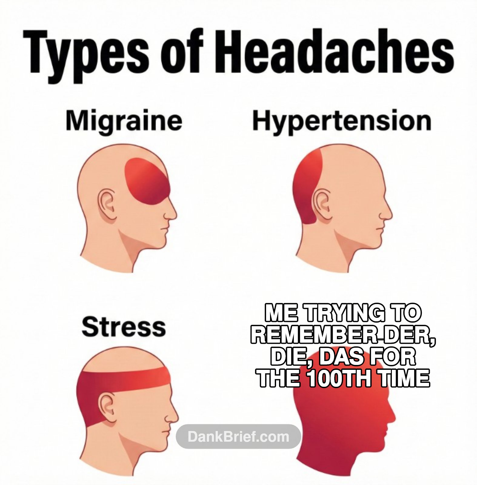 POV: Your brain on German
