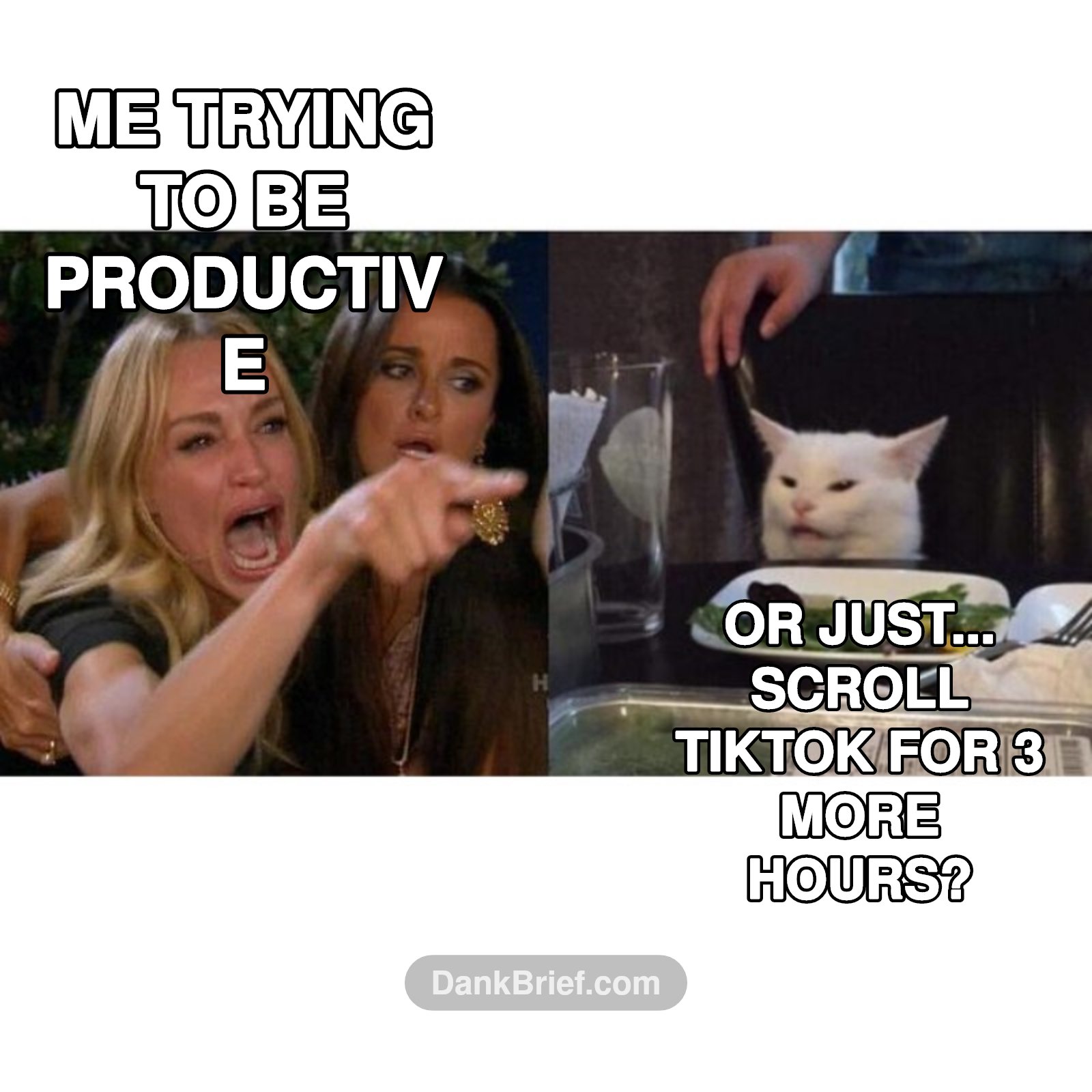 My brain on a Tuesday