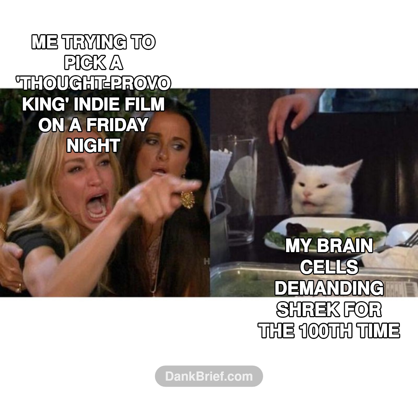 My brain trying to be cultured vs. my actual comfort zone