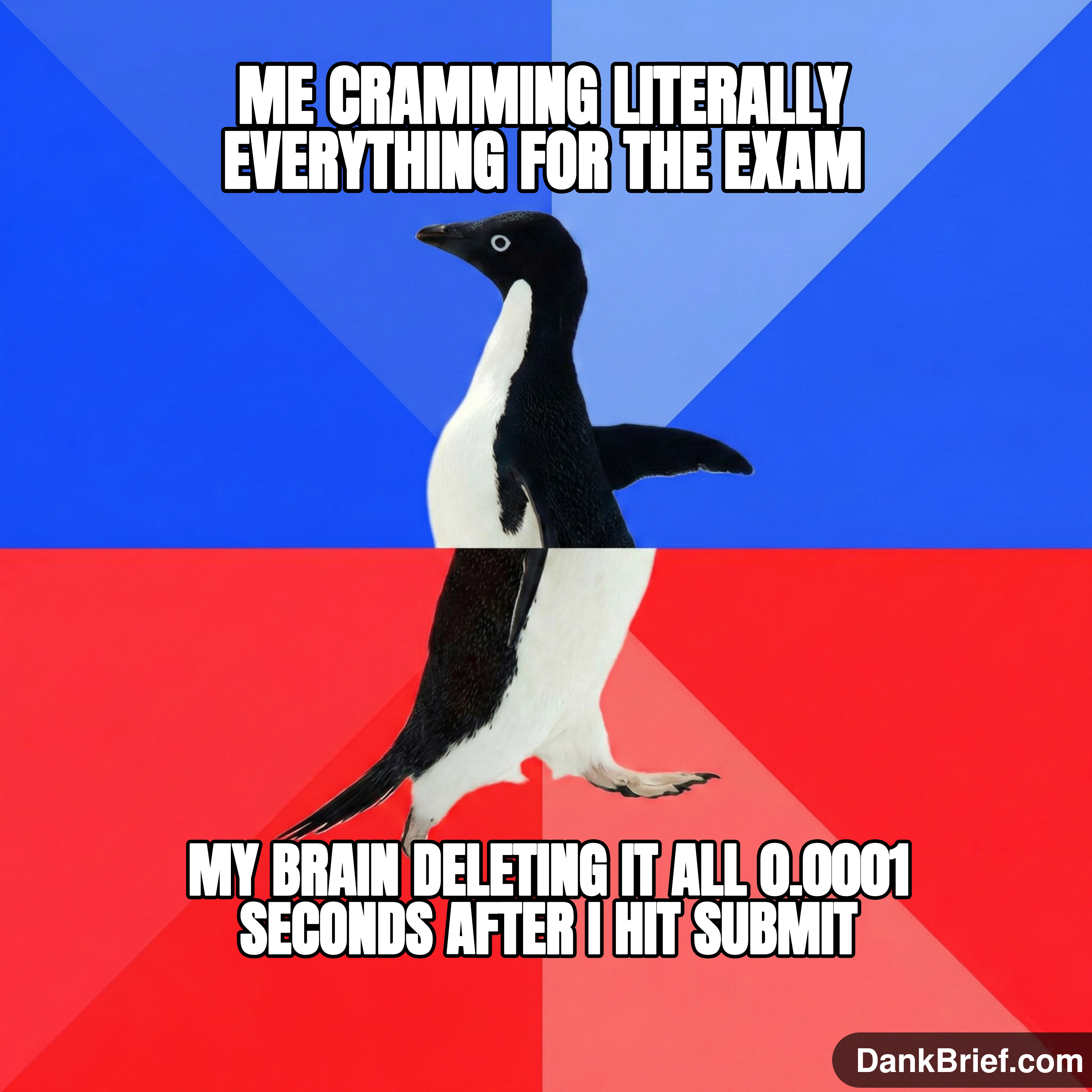 The post-exam memory wipe is a real phenomenon