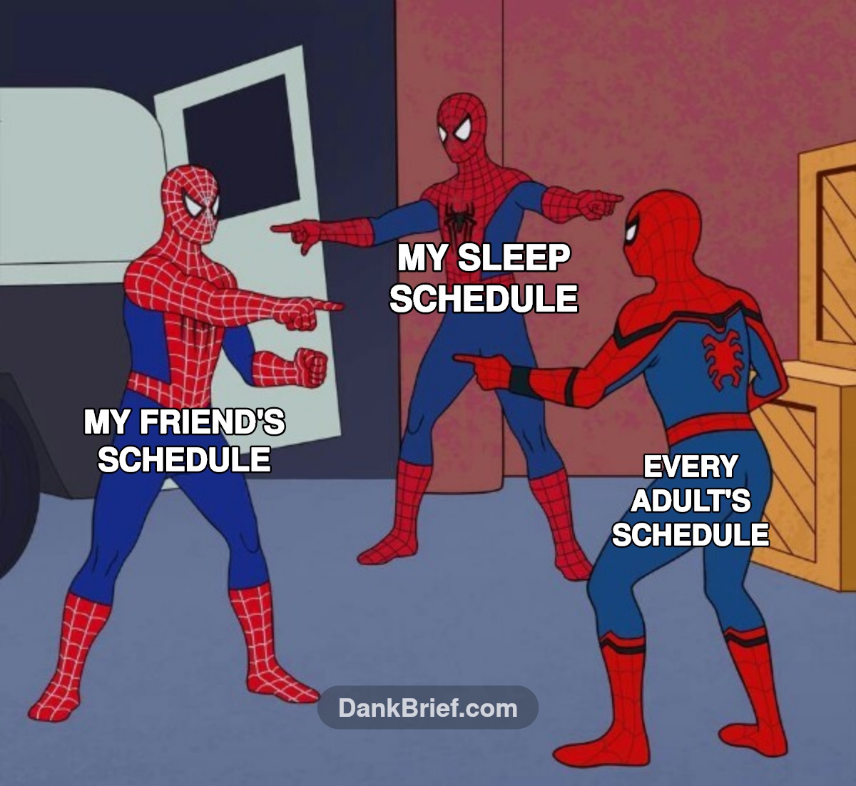 My sleep schedule is a joke