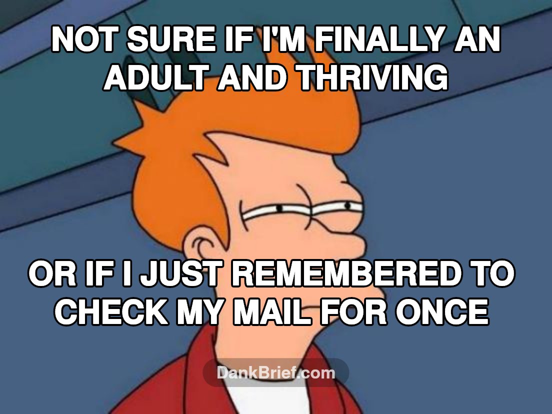 Me trying to adult vs. me just existing