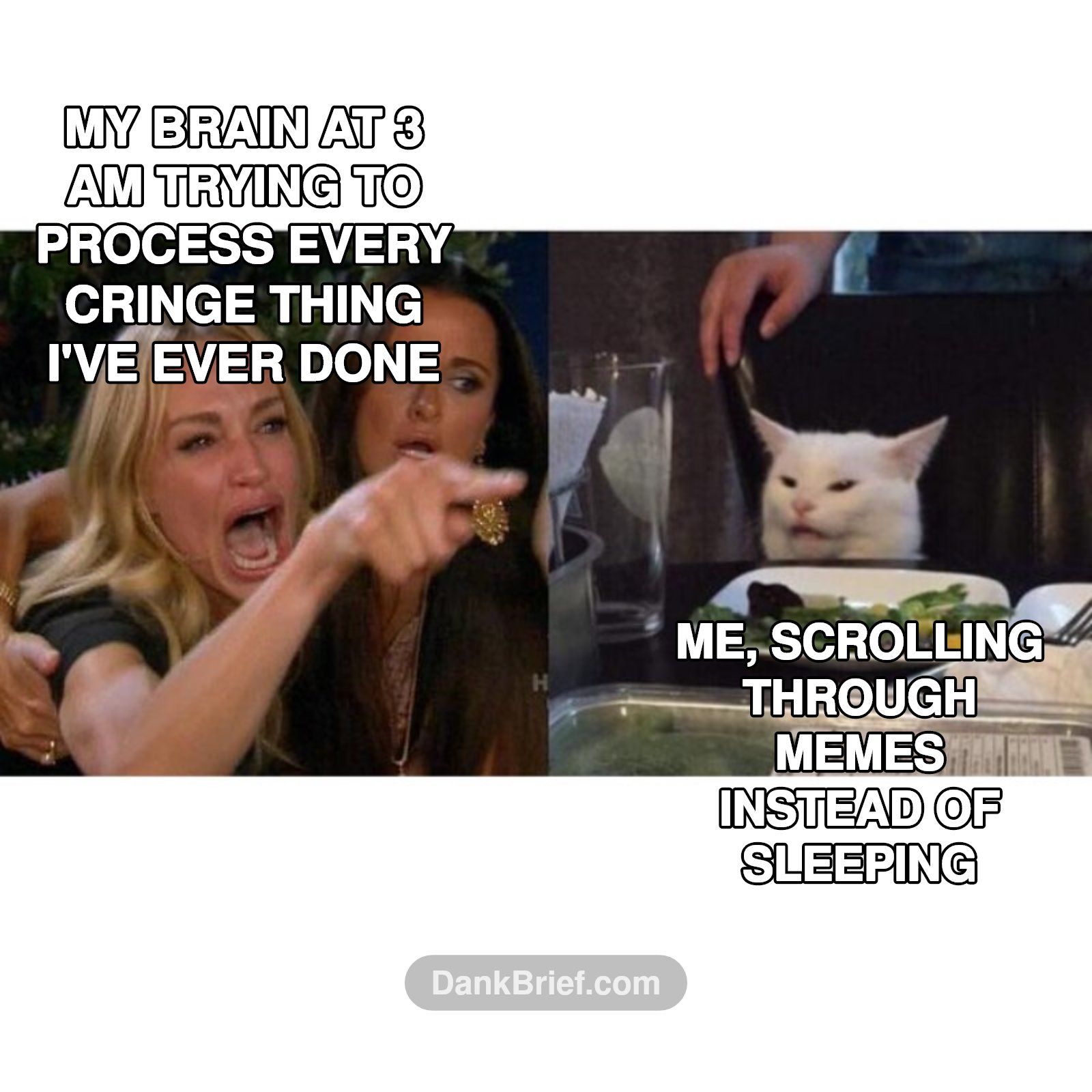 POV: My brain 24/7
