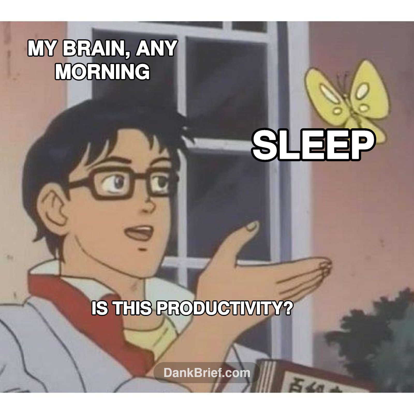 Every single morning, no cap