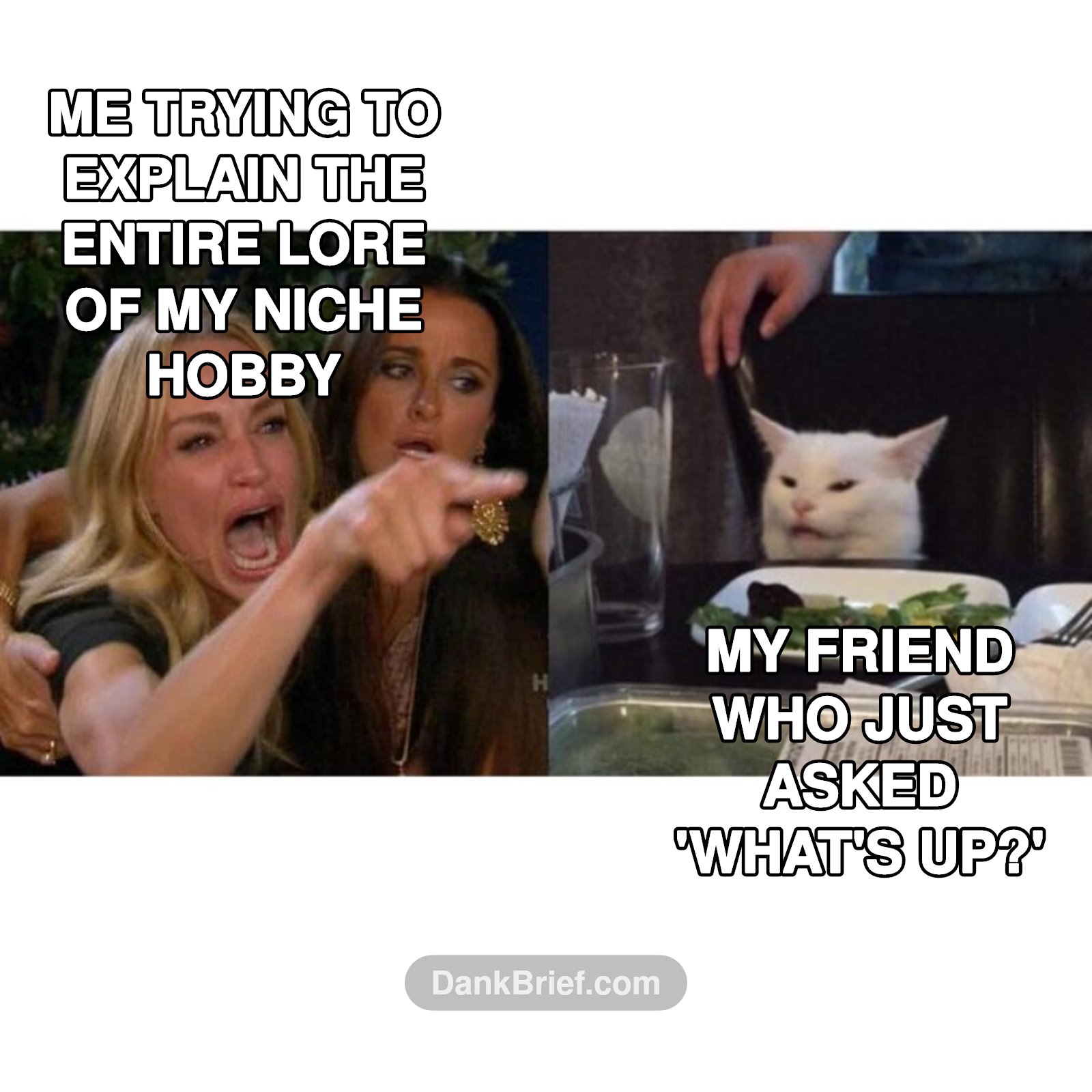 POV: You just asked me about my niche hobby