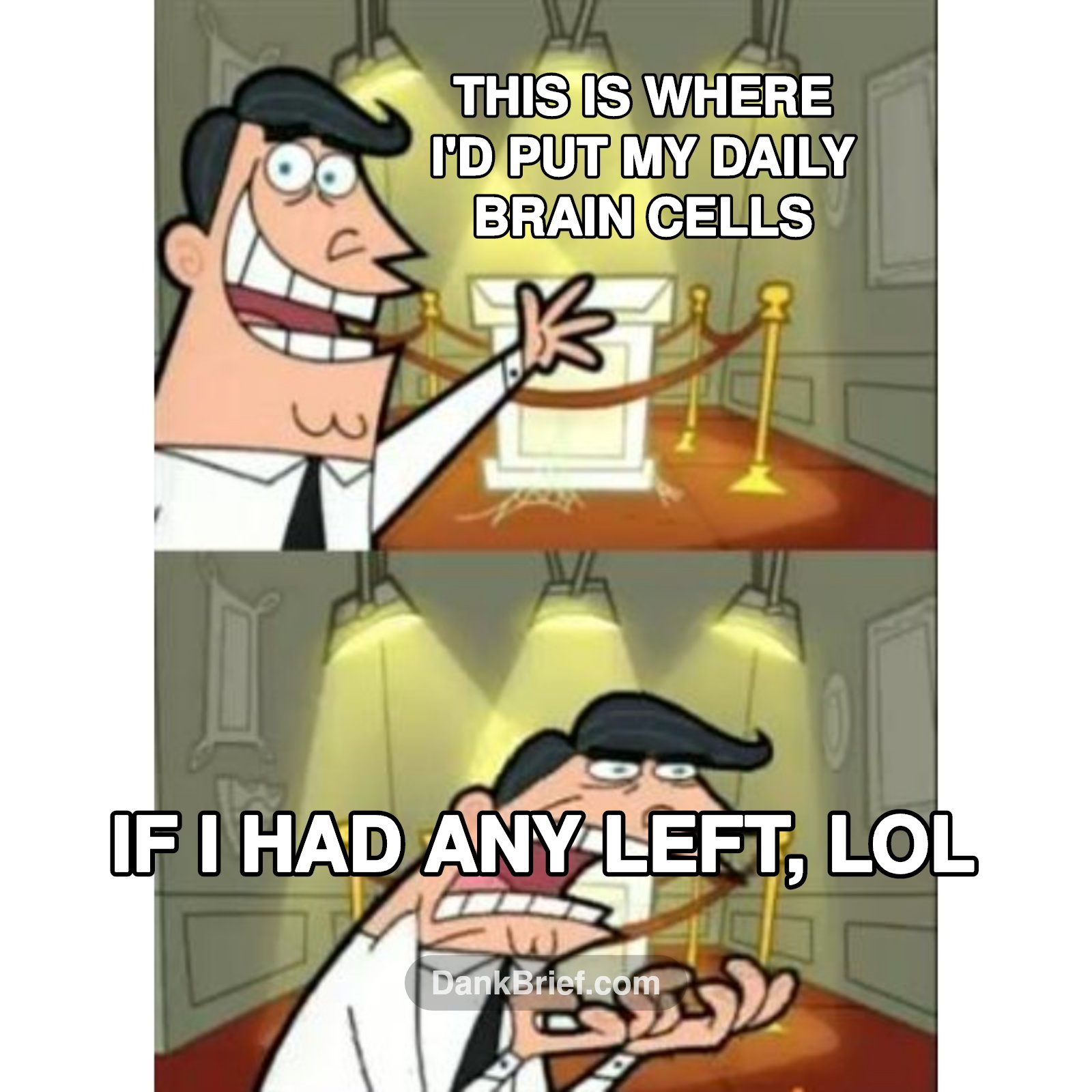 My brain trying to function on 3 hours sleep