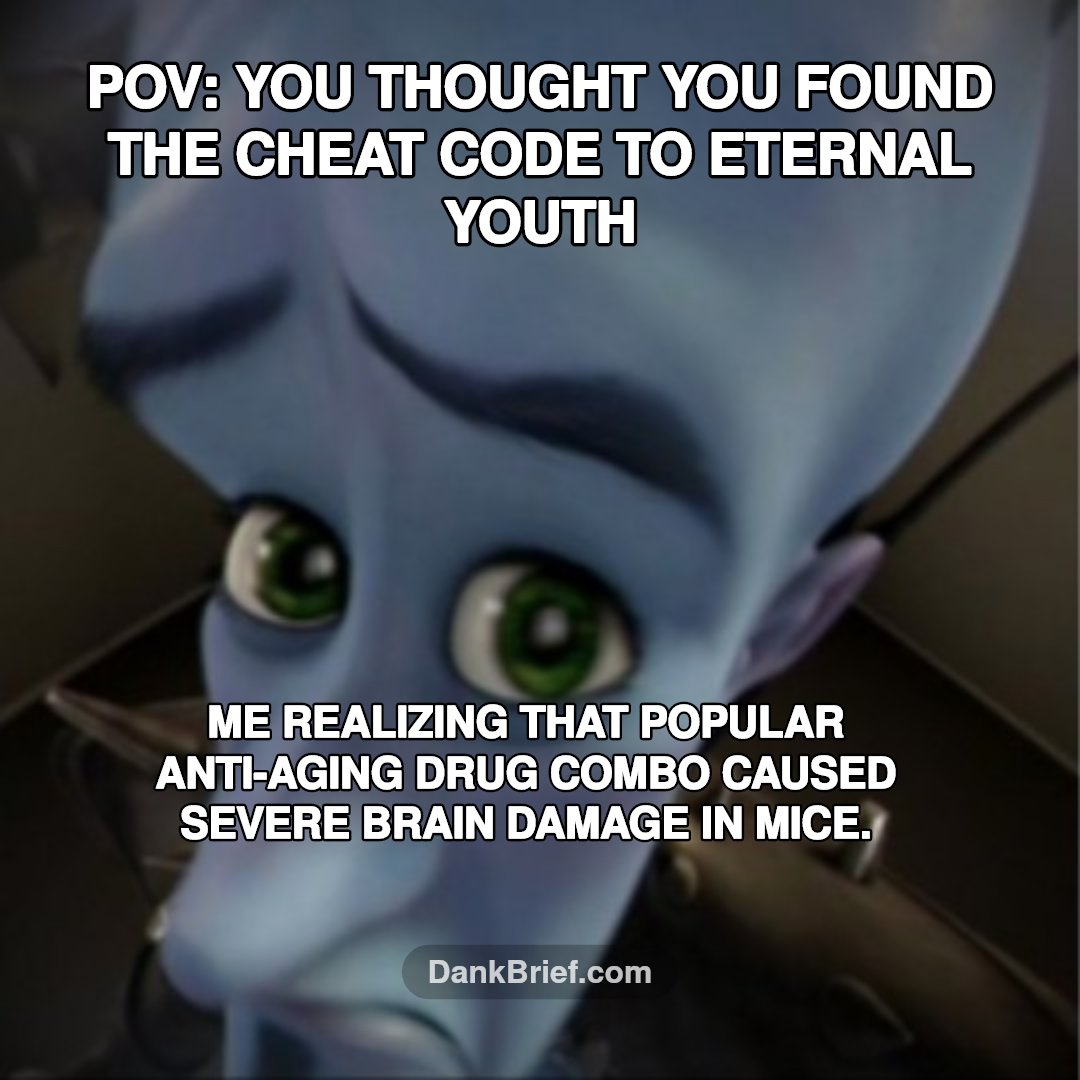 Me trying to reverse time only to speed up my brain's decay lol