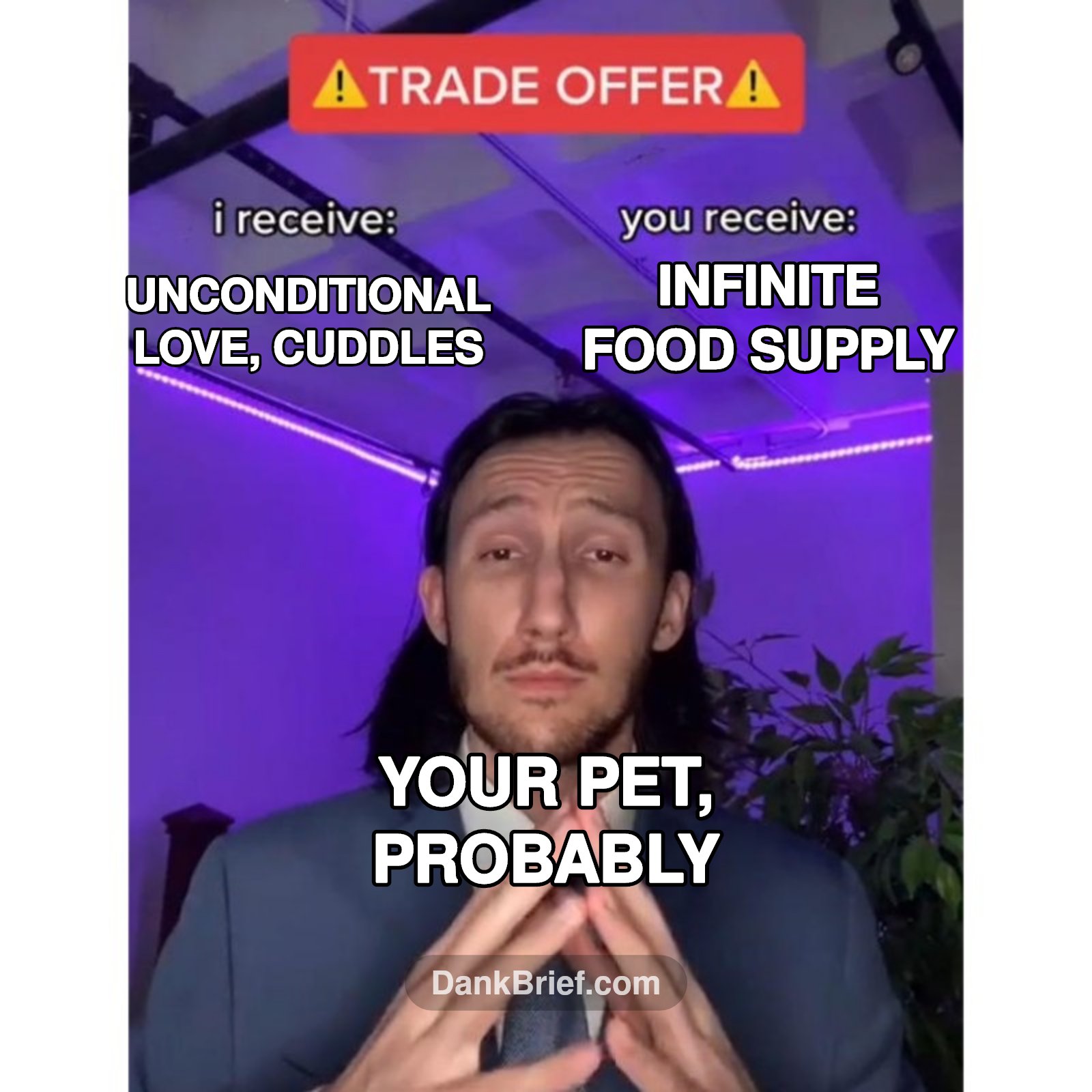 The ultimate trade deal. No regrets. #petlife #real #catmom #dogdad