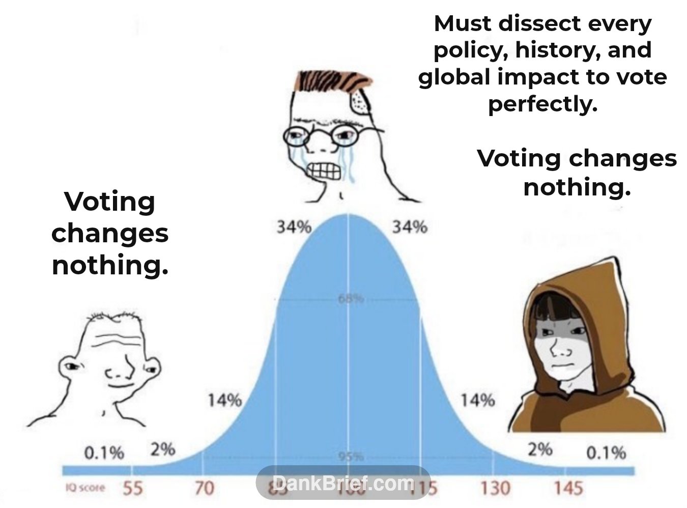 Voting changes nothing. / Must dissect every policy, history, and global impact to vote perfectly. / Voting changes nothing.