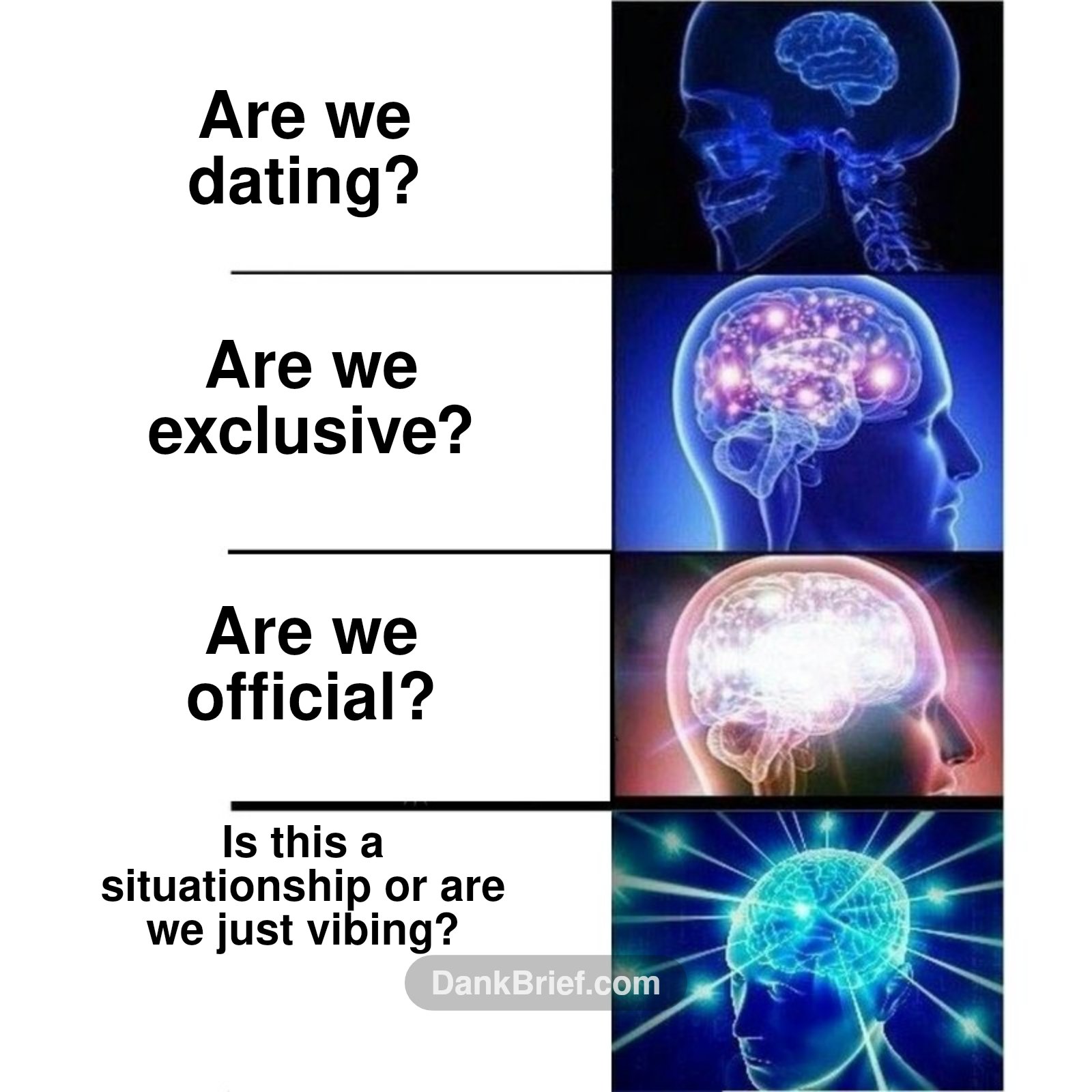 My brain cells trying to define 'us'