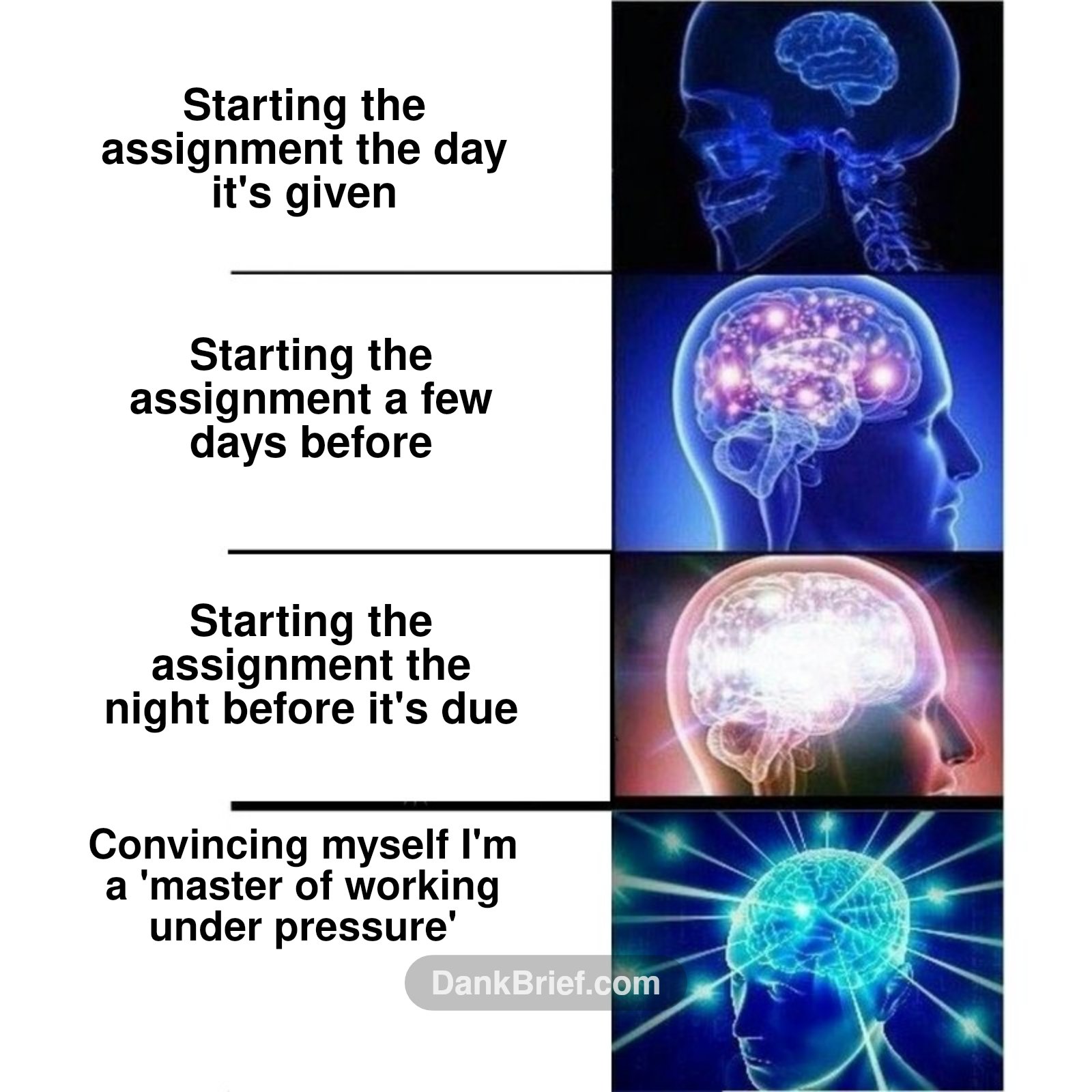 My brain expanding with every deadline