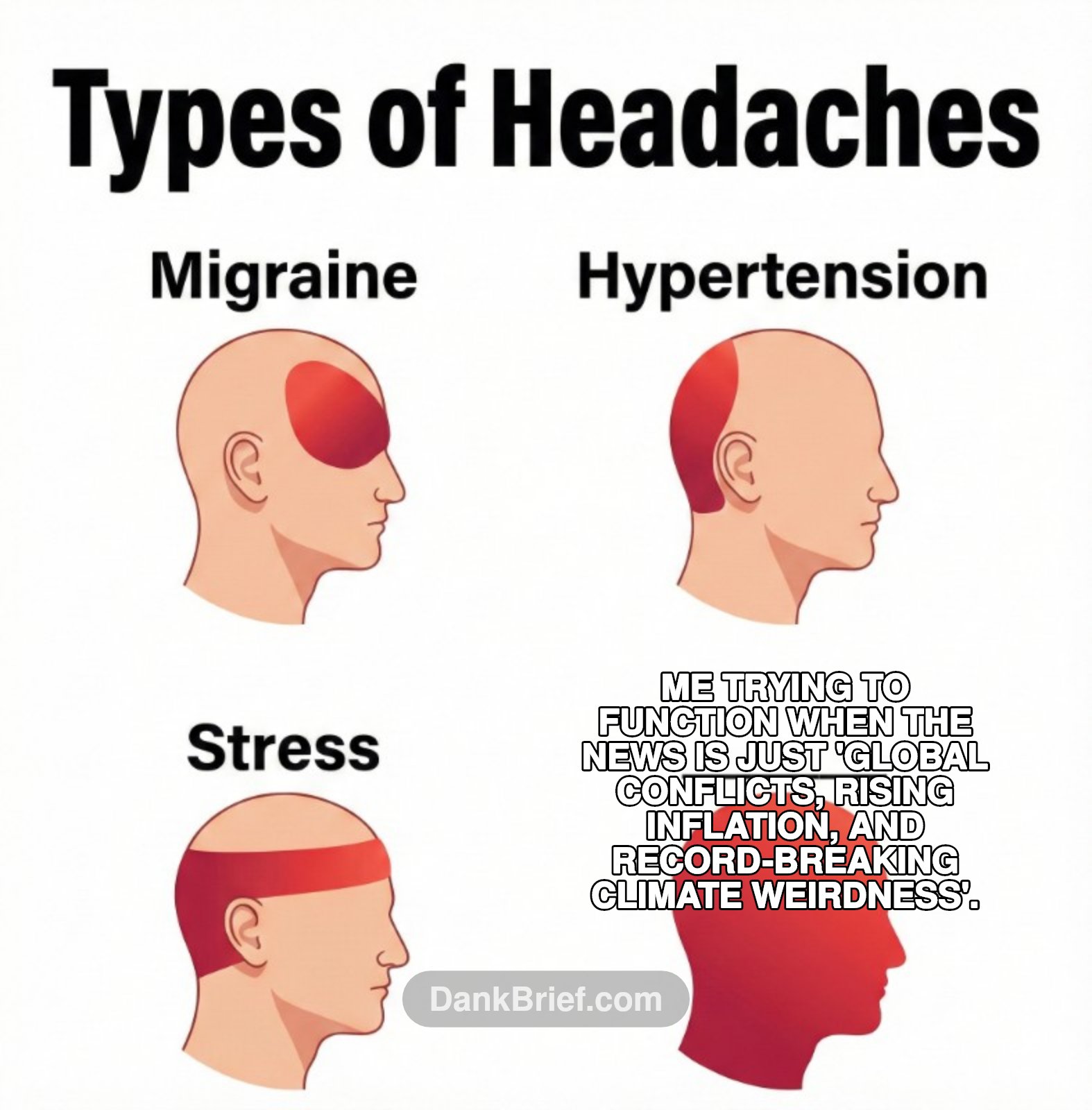 My brain cells logging off every morning 🫠