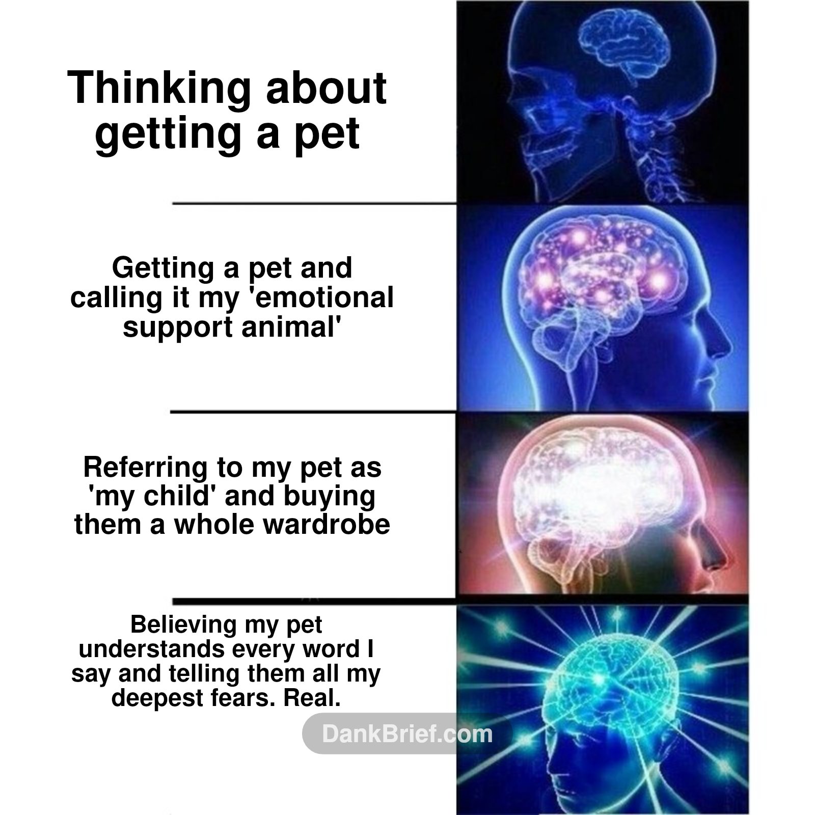 My brain expanding trying to understand animal logic
