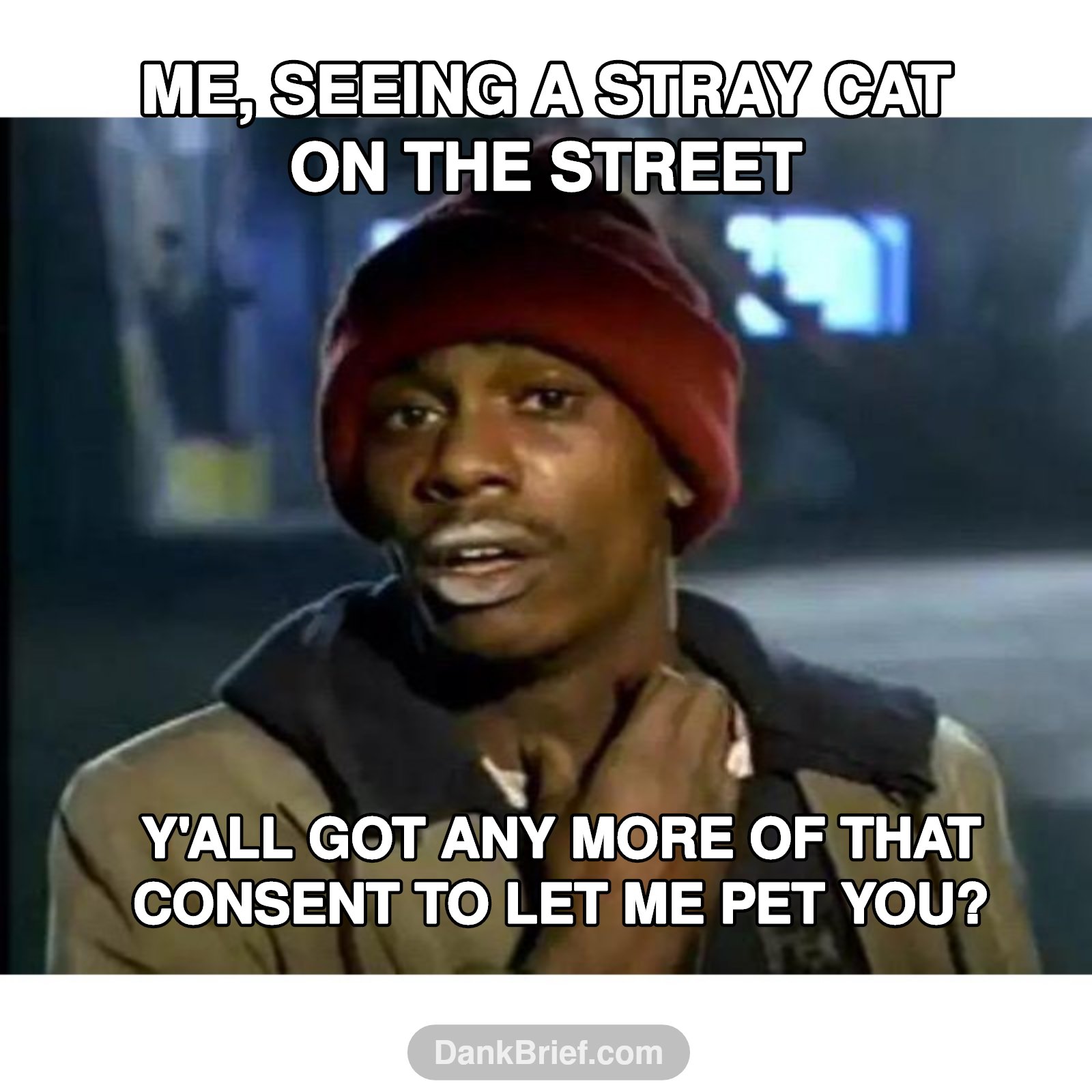 Me trying to make friends with every animal I see