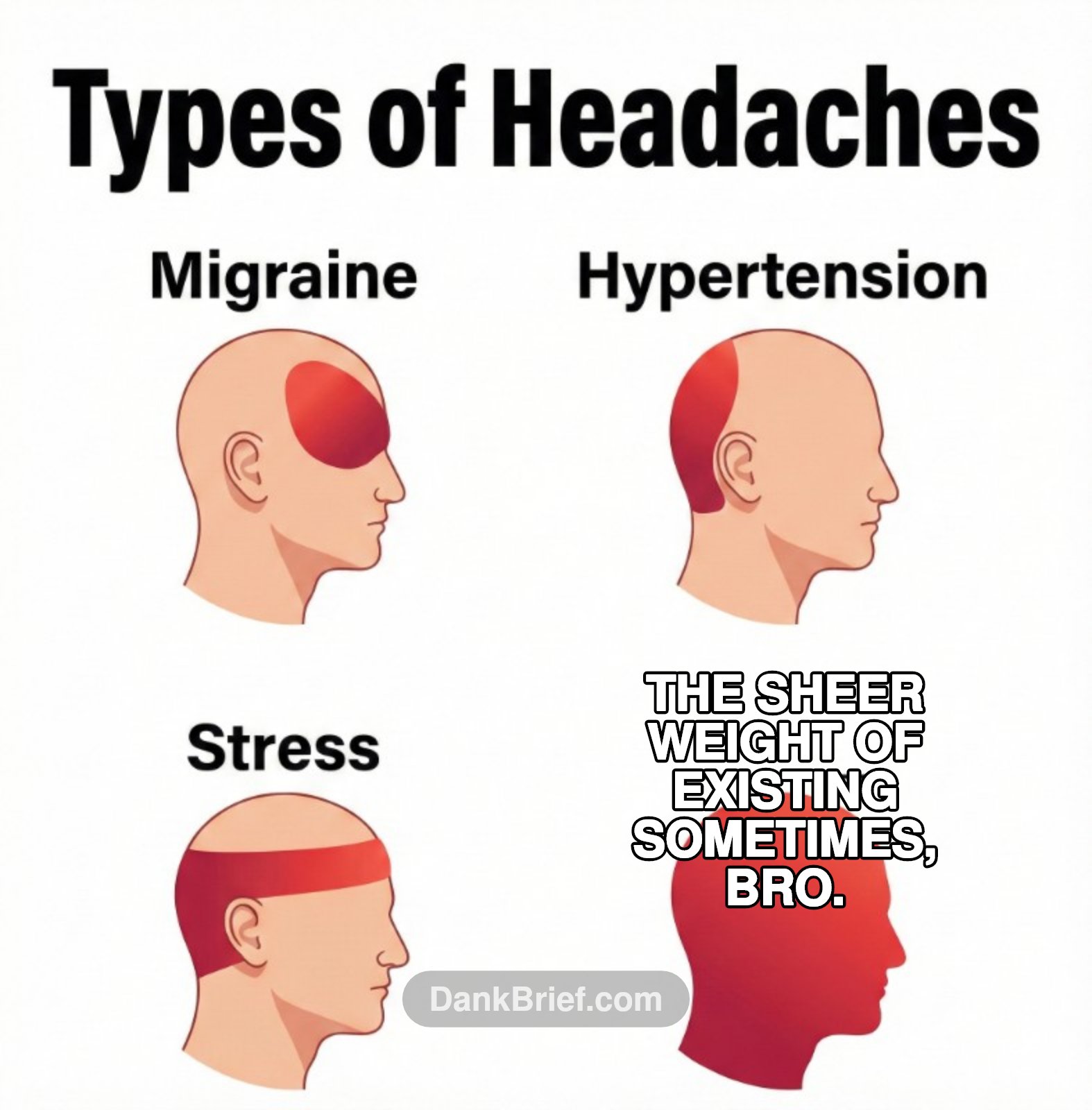 My brain everyday
